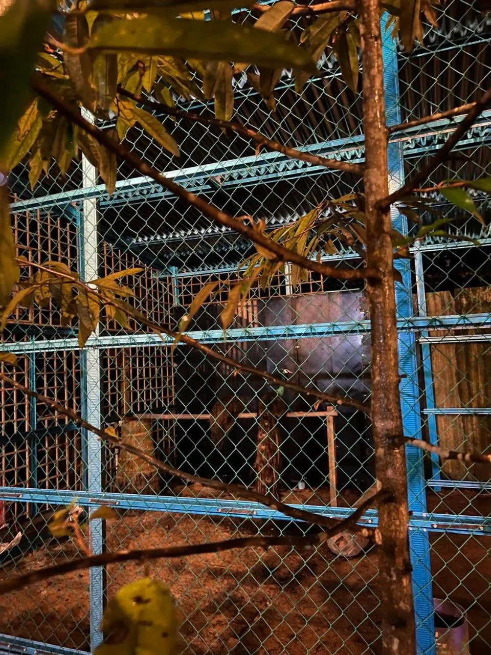 Night in BB Durio Chalet