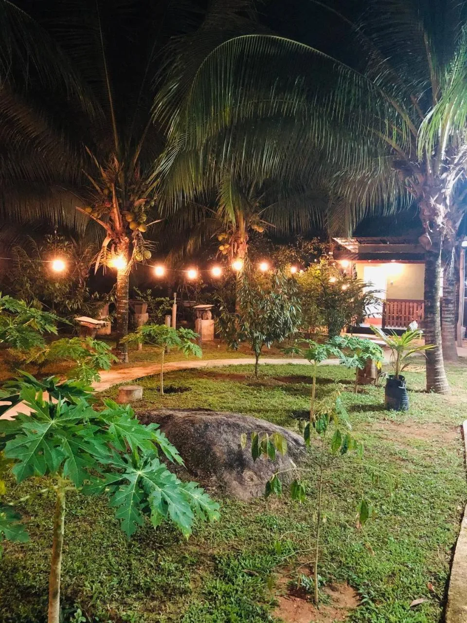 Garden in BB Durio Chalet