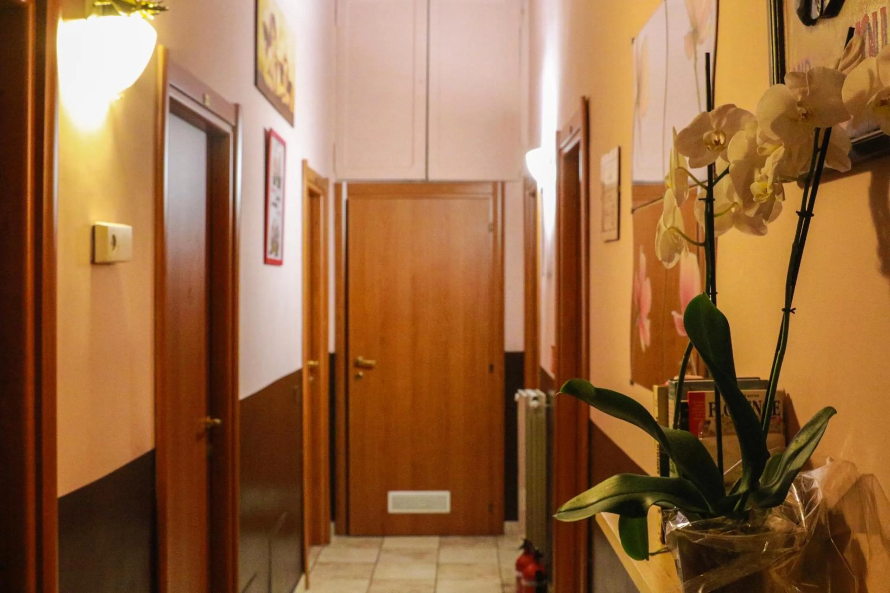 Lobby or reception in Român Holidays