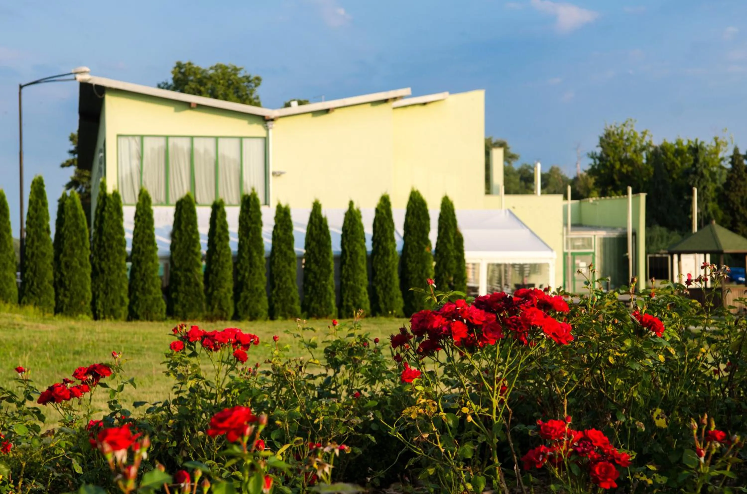 Property building in ZOO hotel