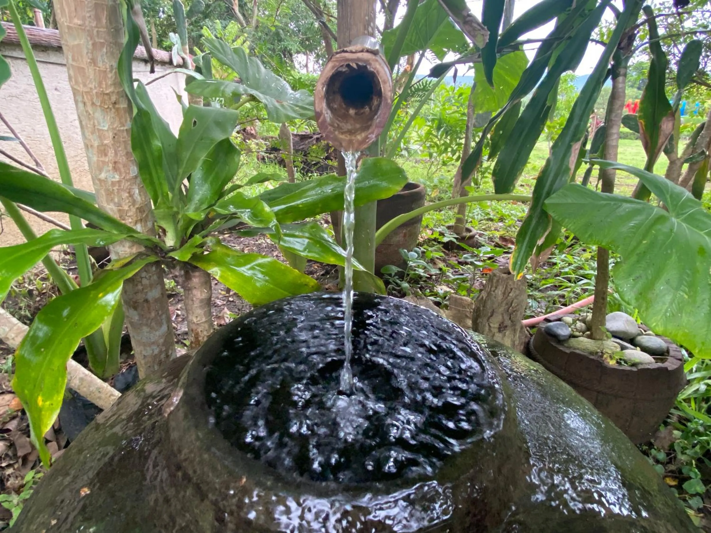 Property building in Taal Maranan Farmville Inc by Cocotel