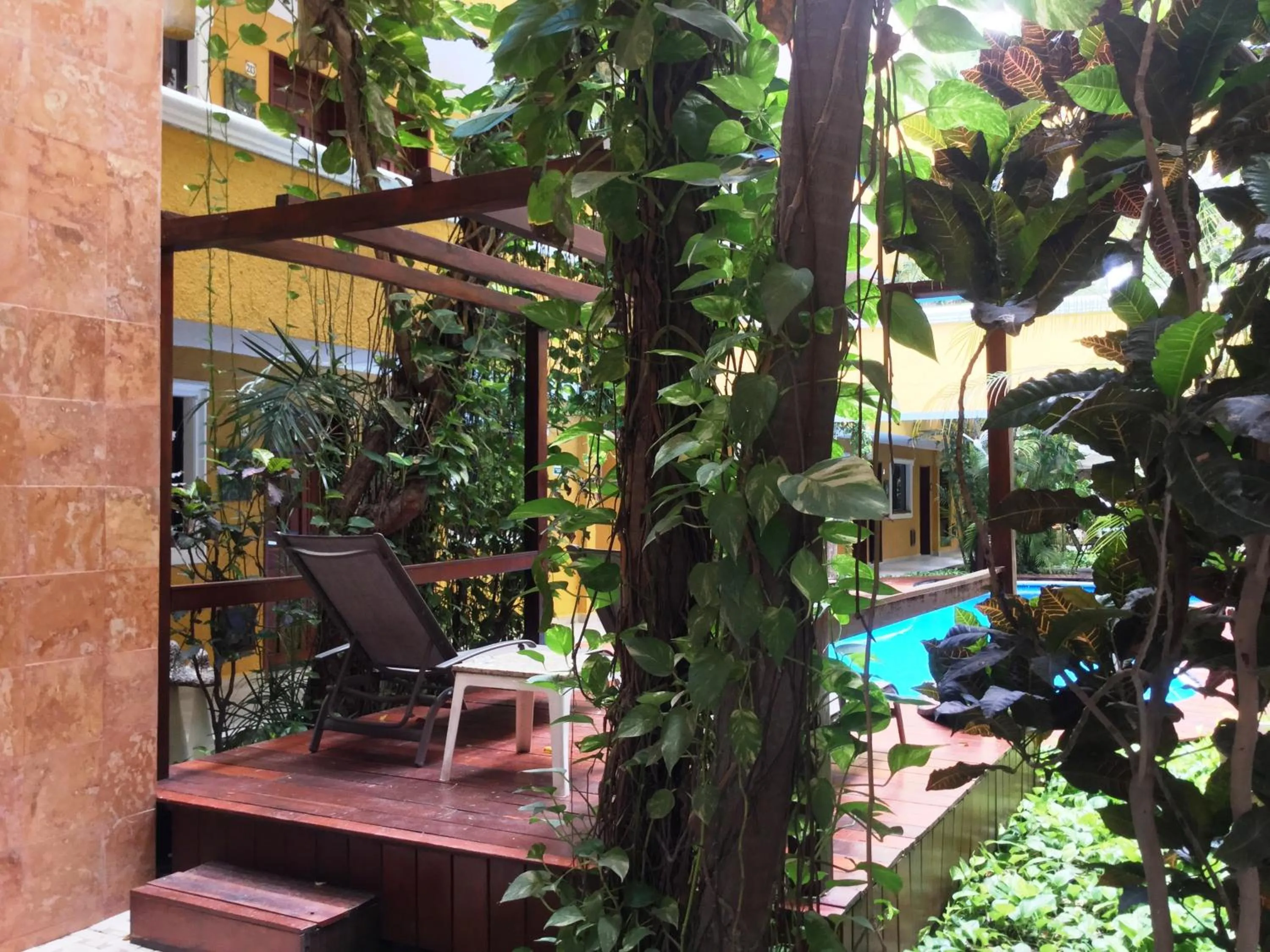 Garden in Hotel Las Golondrinas