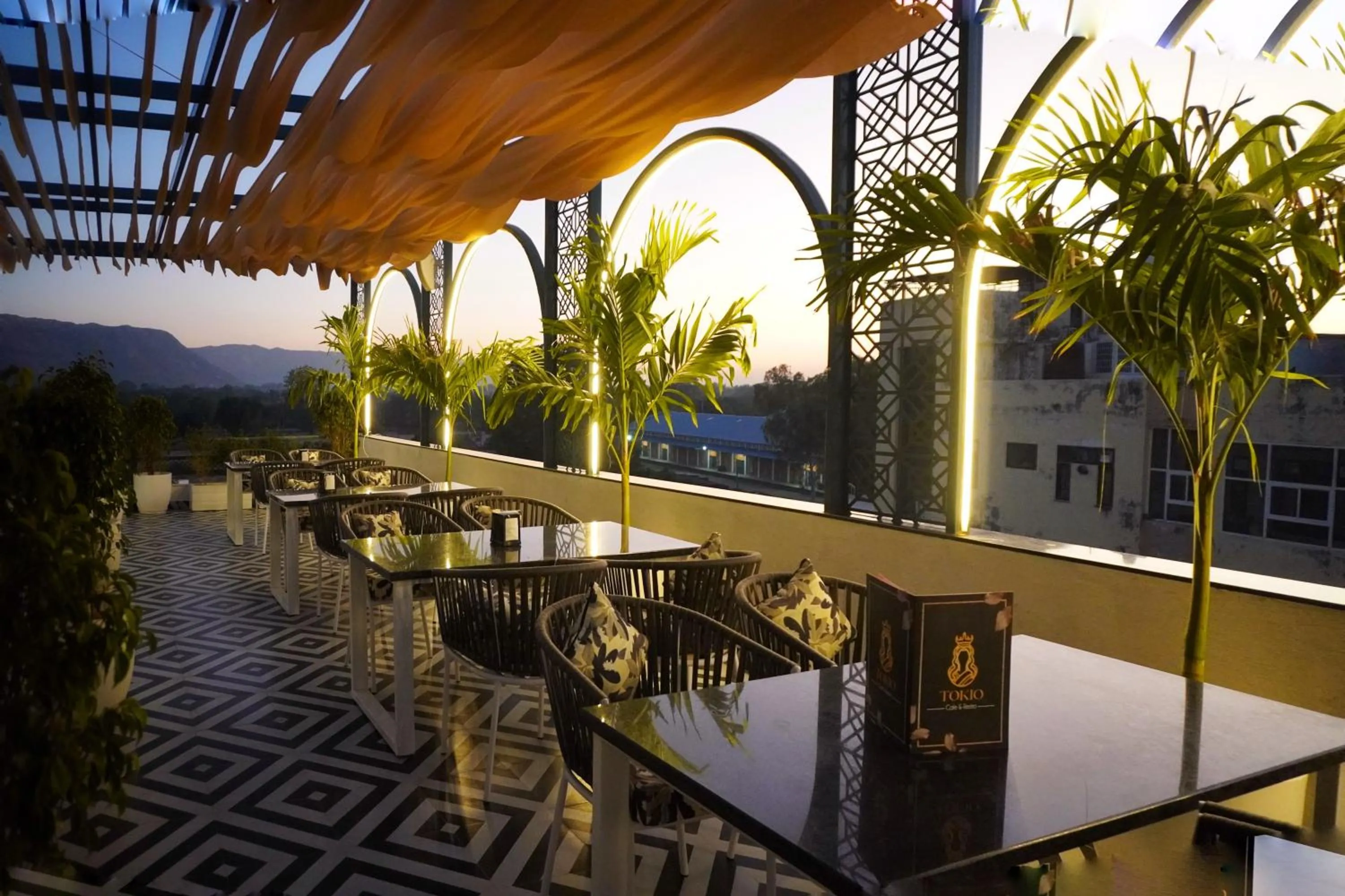Restaurant/places to eat in Hotel Saif Ranthambhore