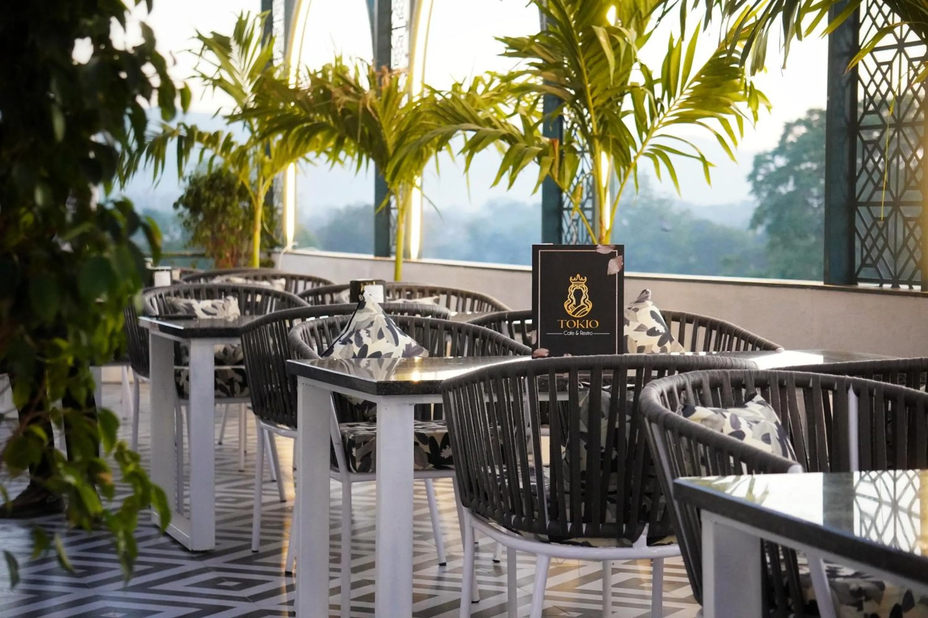 Restaurant/places to eat in Hotel Saif Ranthambhore