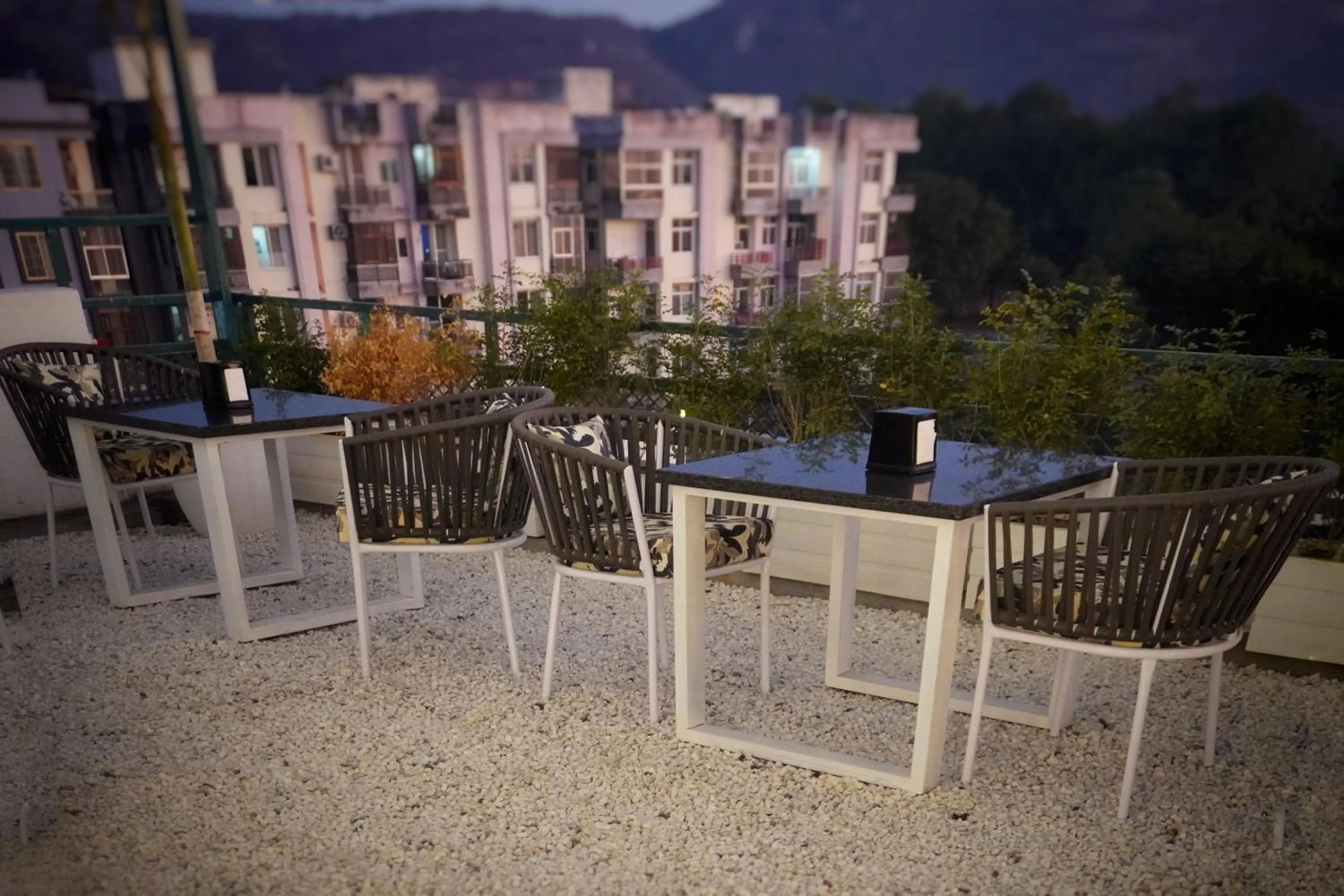 Restaurant/places to eat in Hotel Saif Ranthambhore