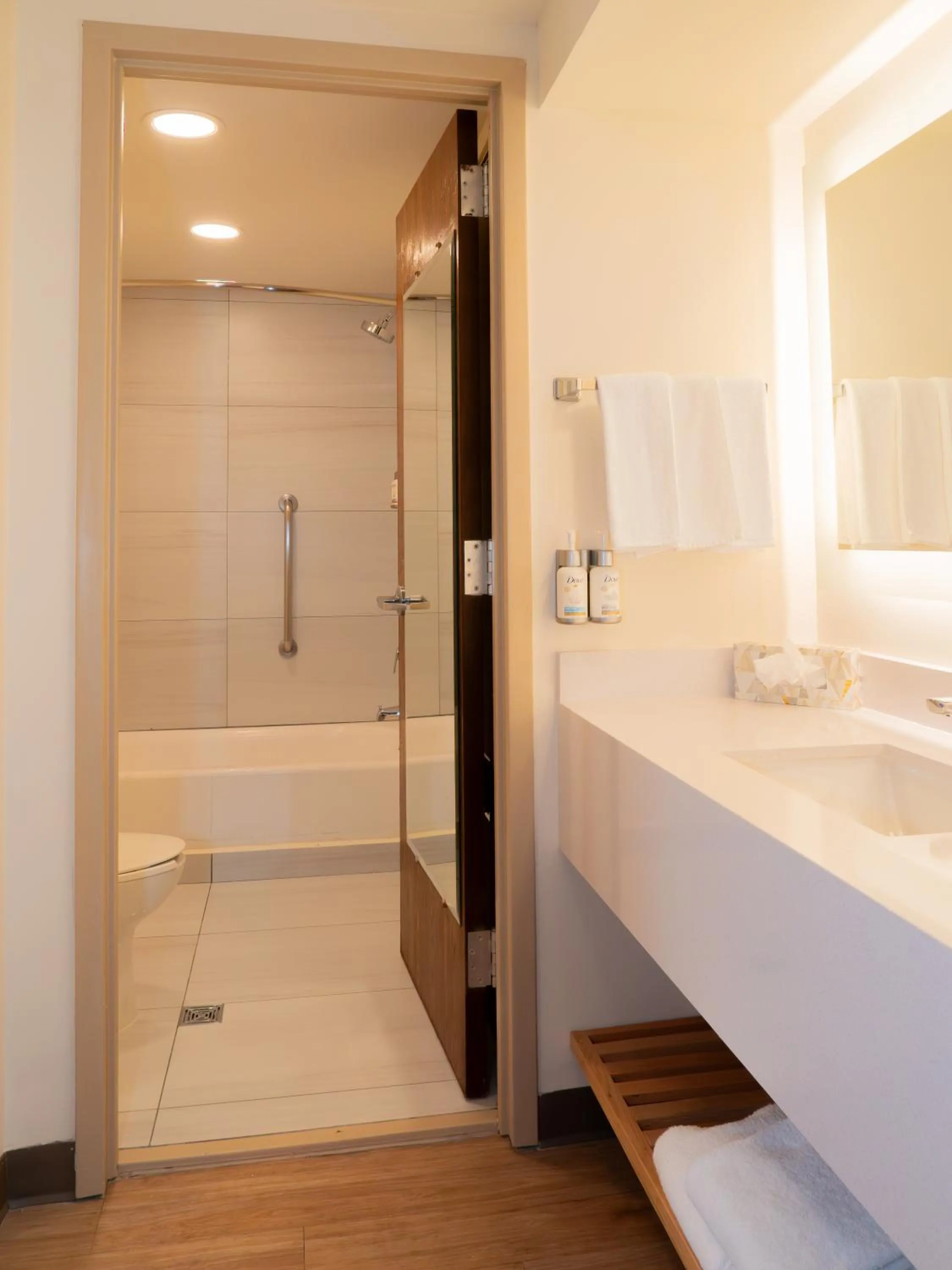 Bathroom in Holiday Inn Express - Monterrey - Tecnologico by IHG