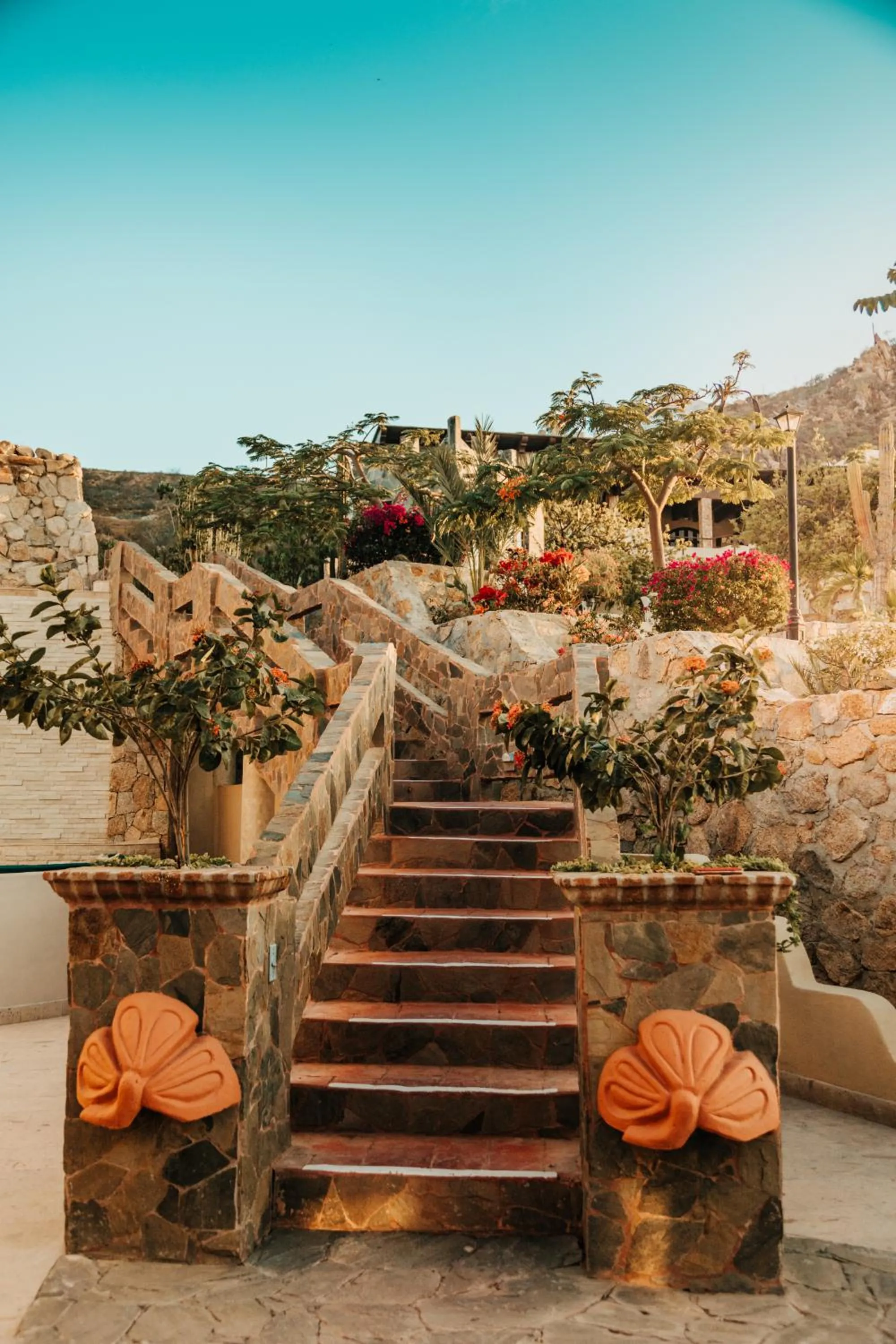 Property building in Castillo Blarney Inn