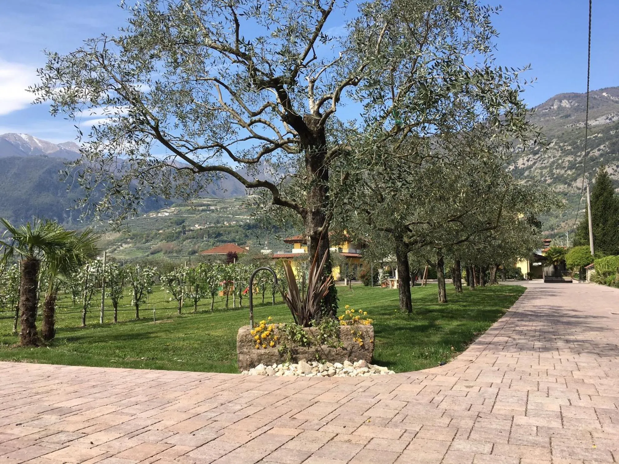 Facade/entrance in Arcovacanze