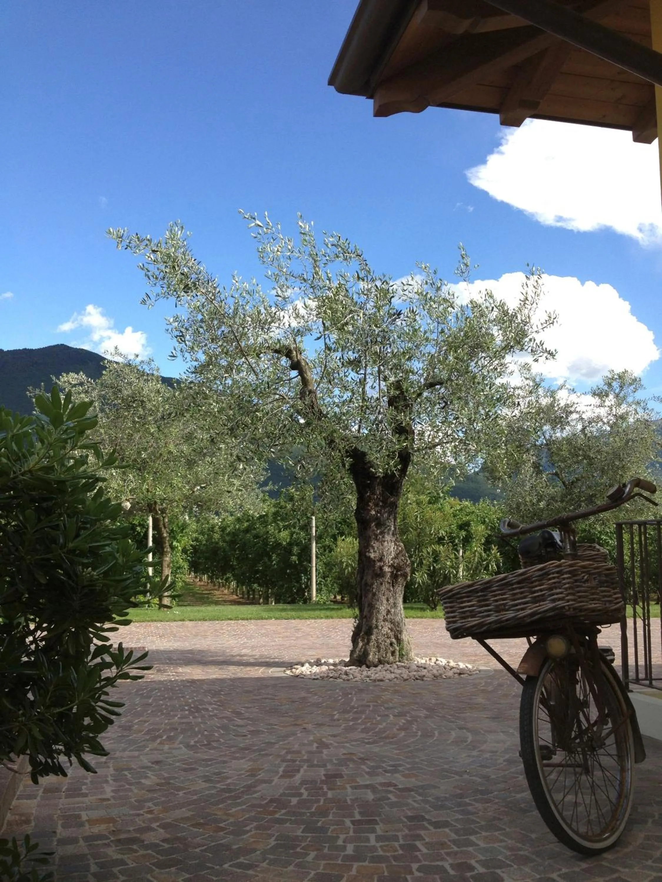 Other in Arcovacanze