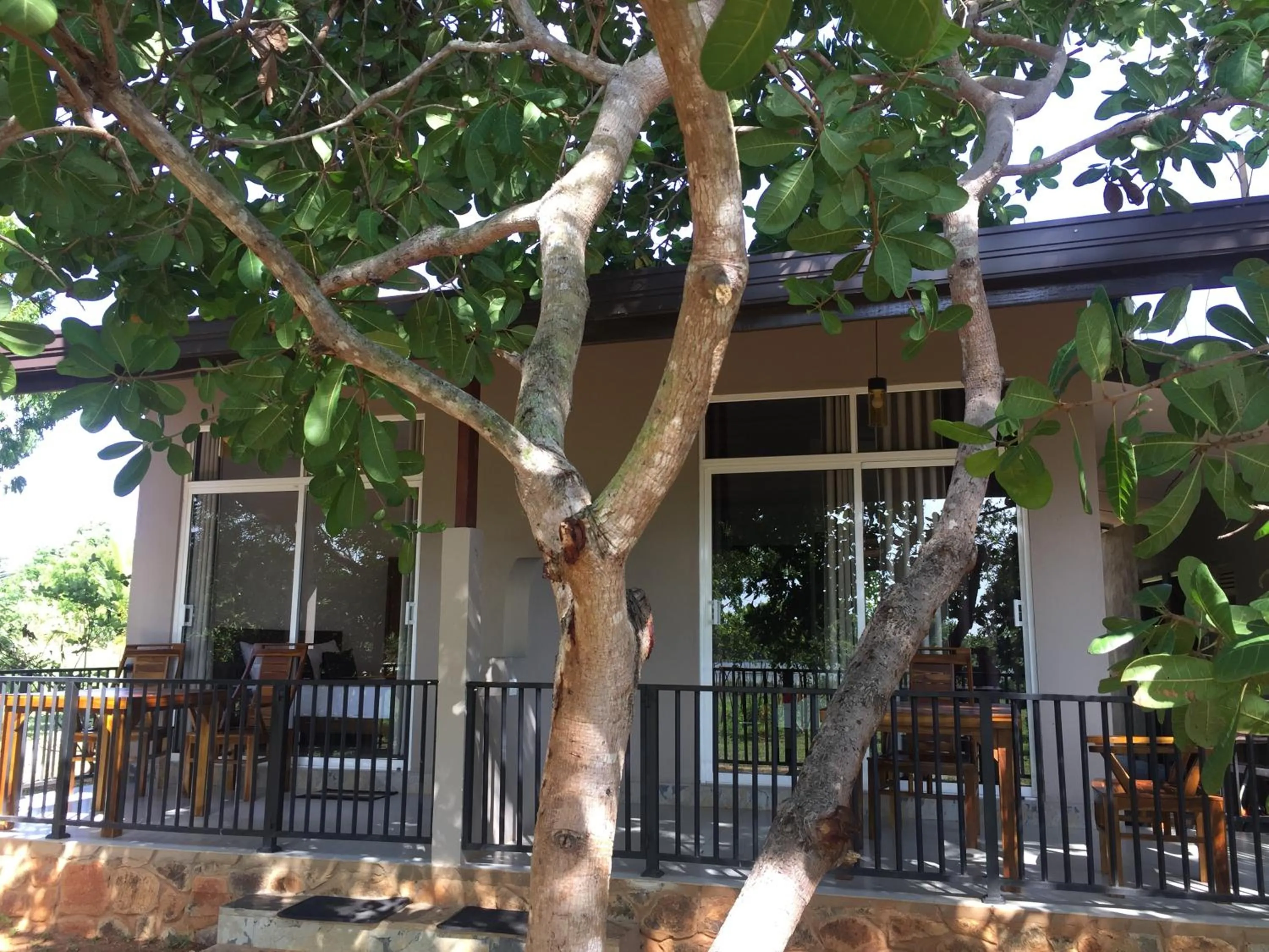 Balcony/Terrace in Saffron Lake Yala