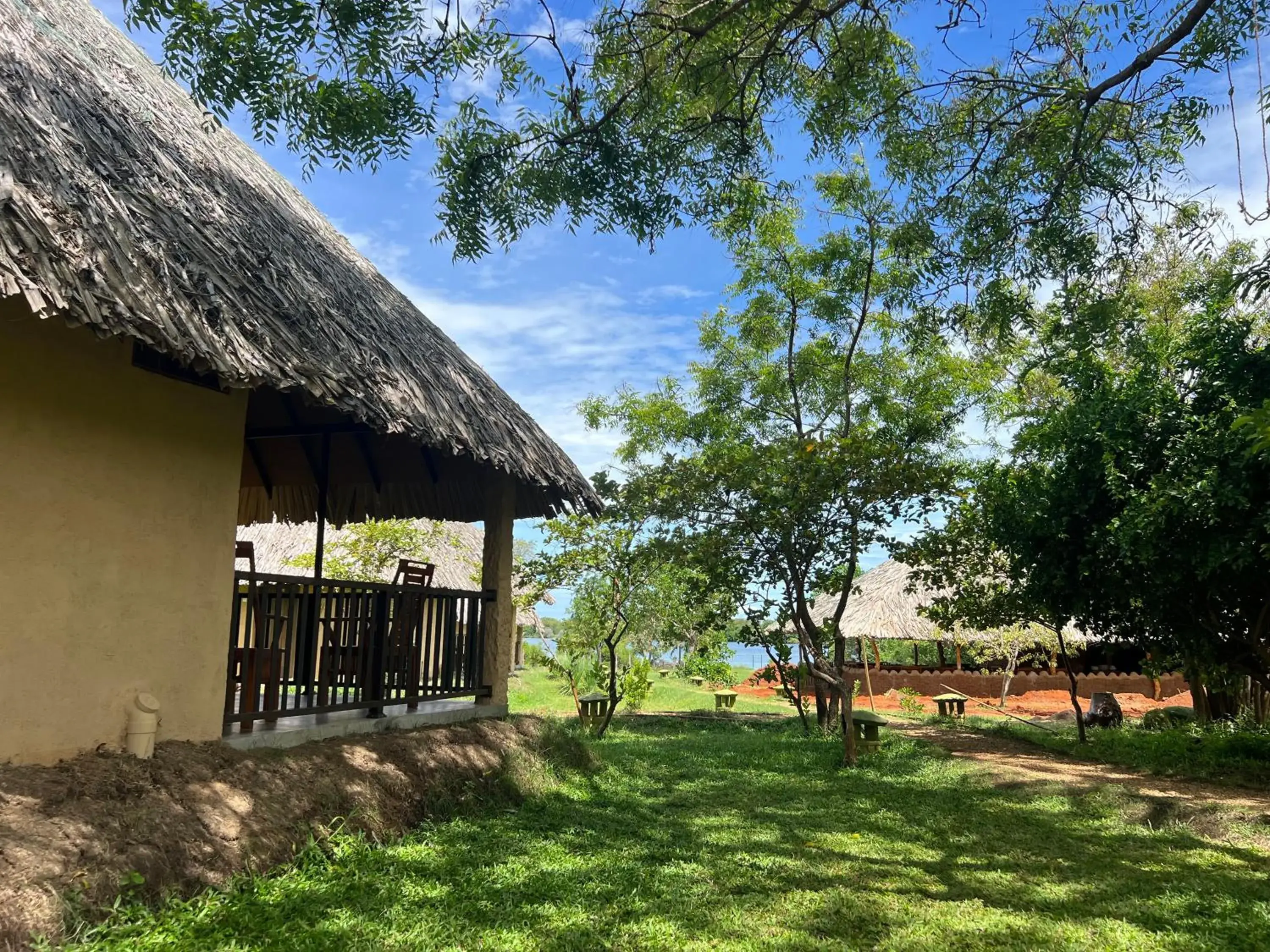Garden view in Saffron Lake Yala Garden view in Saffron Lake Yala