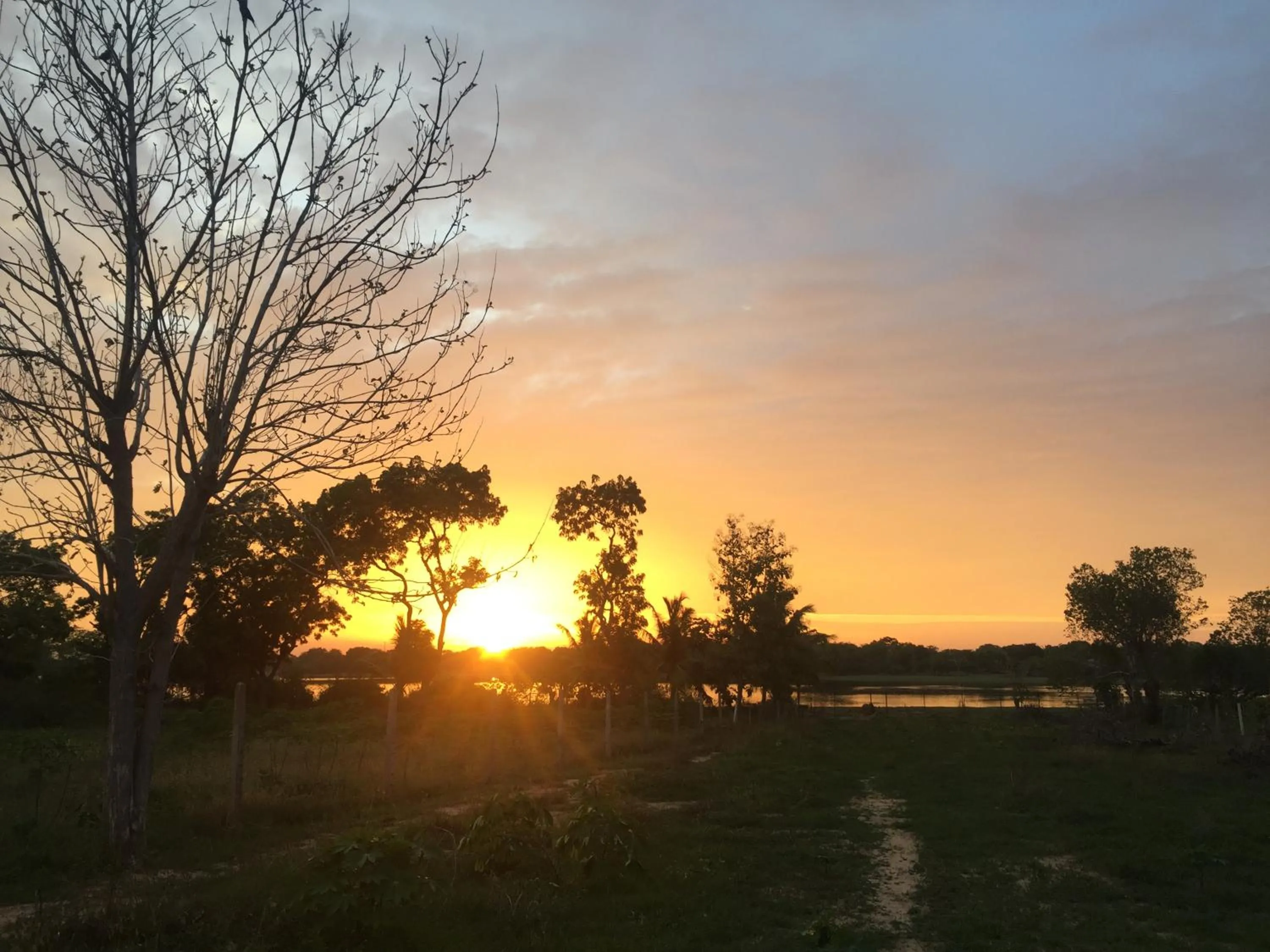 Sunrise in Saffron Lake Yala