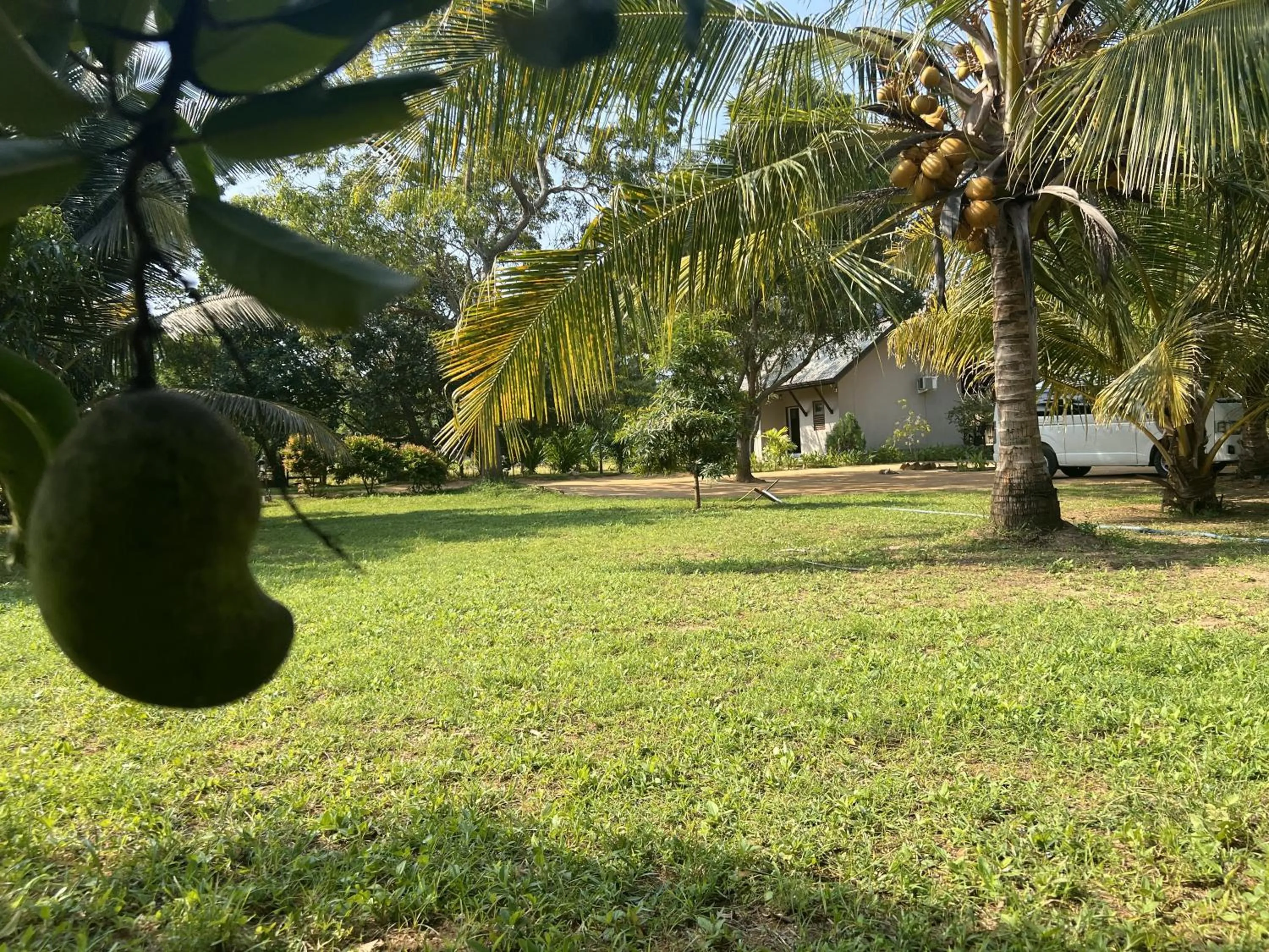 Garden in Saffron Lake Yala