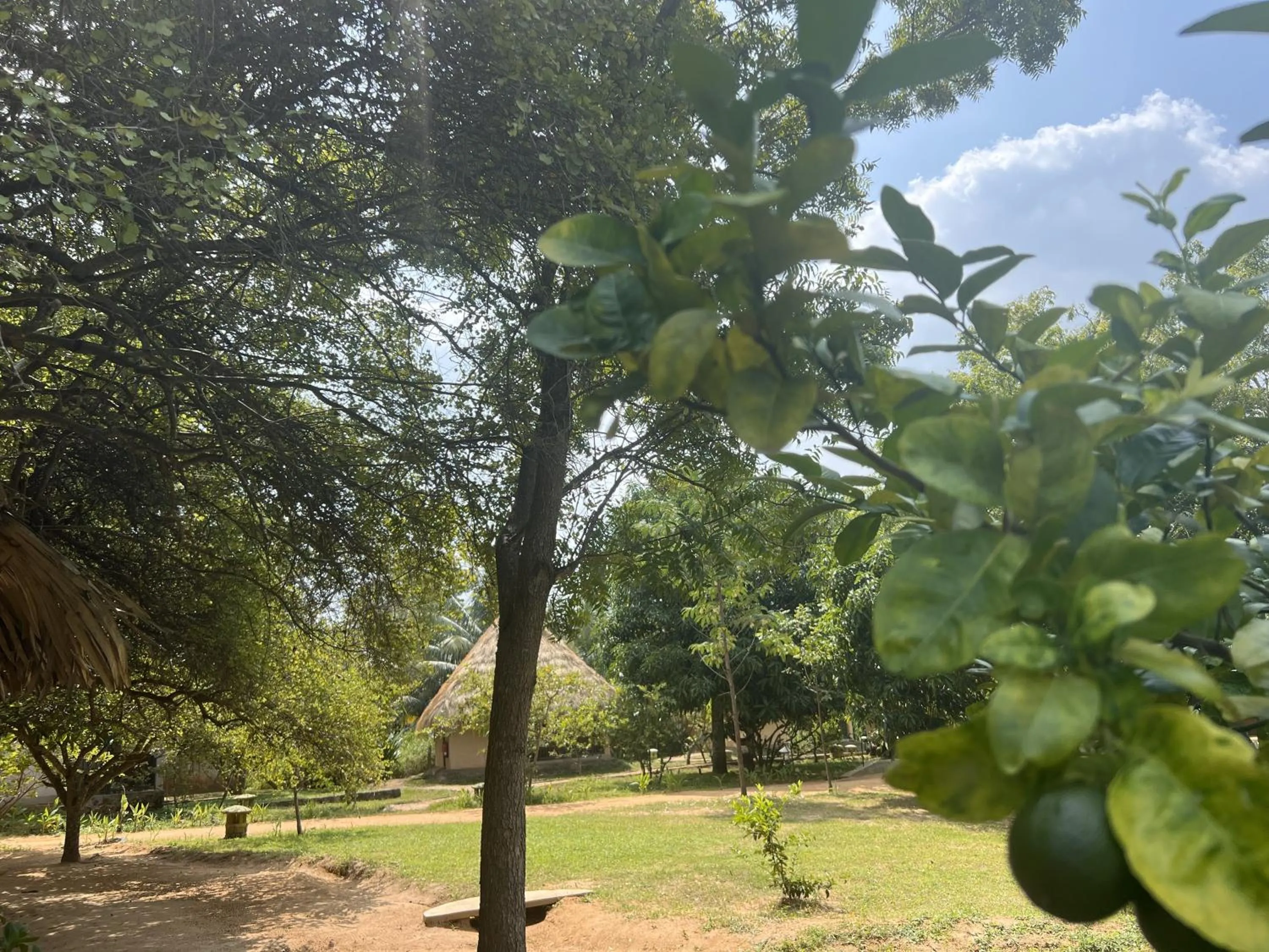 Garden in Saffron Lake Yala
