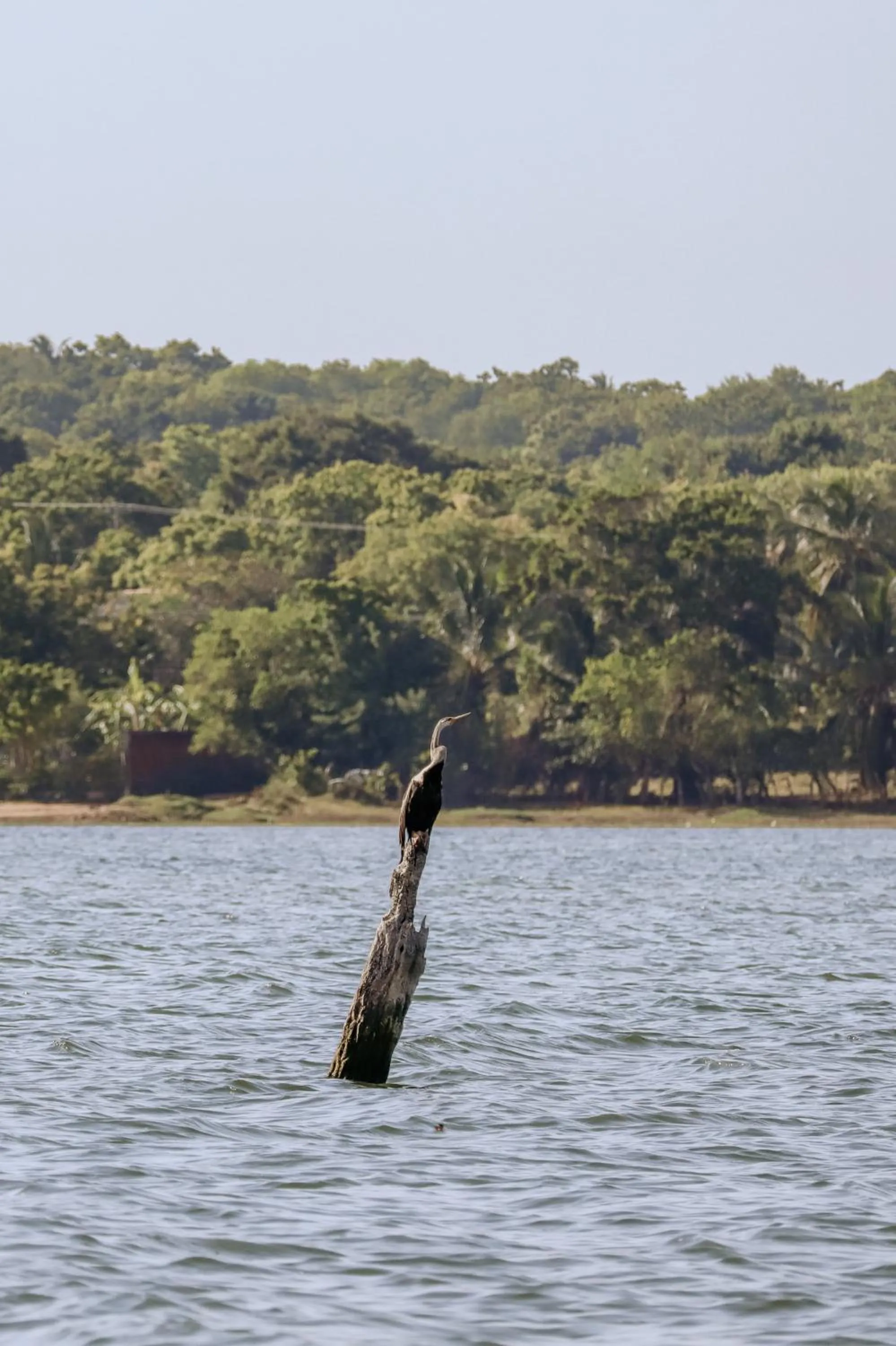 Lake view in Saffron Lake Yala
