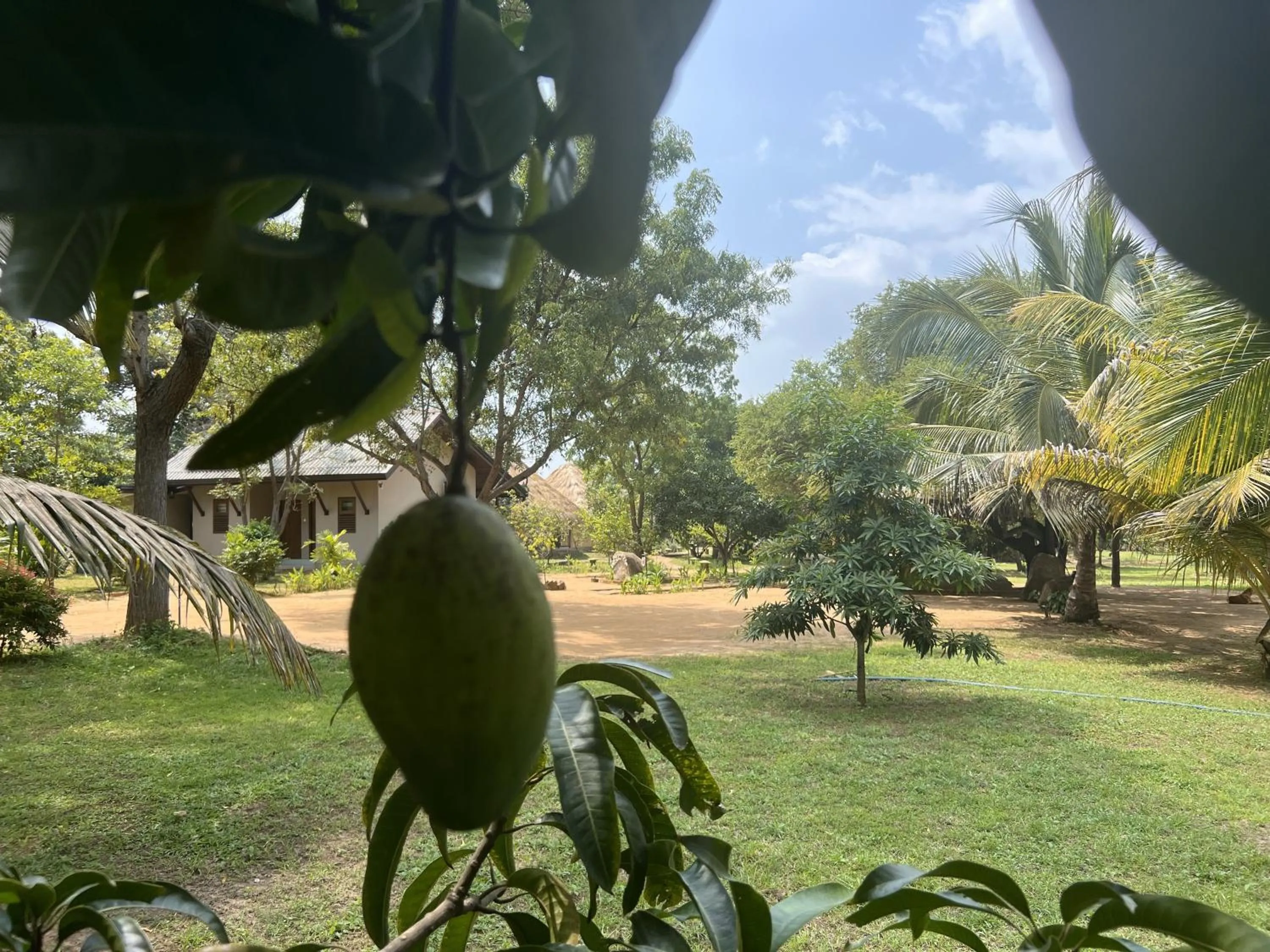 Property building in Saffron Lake Yala