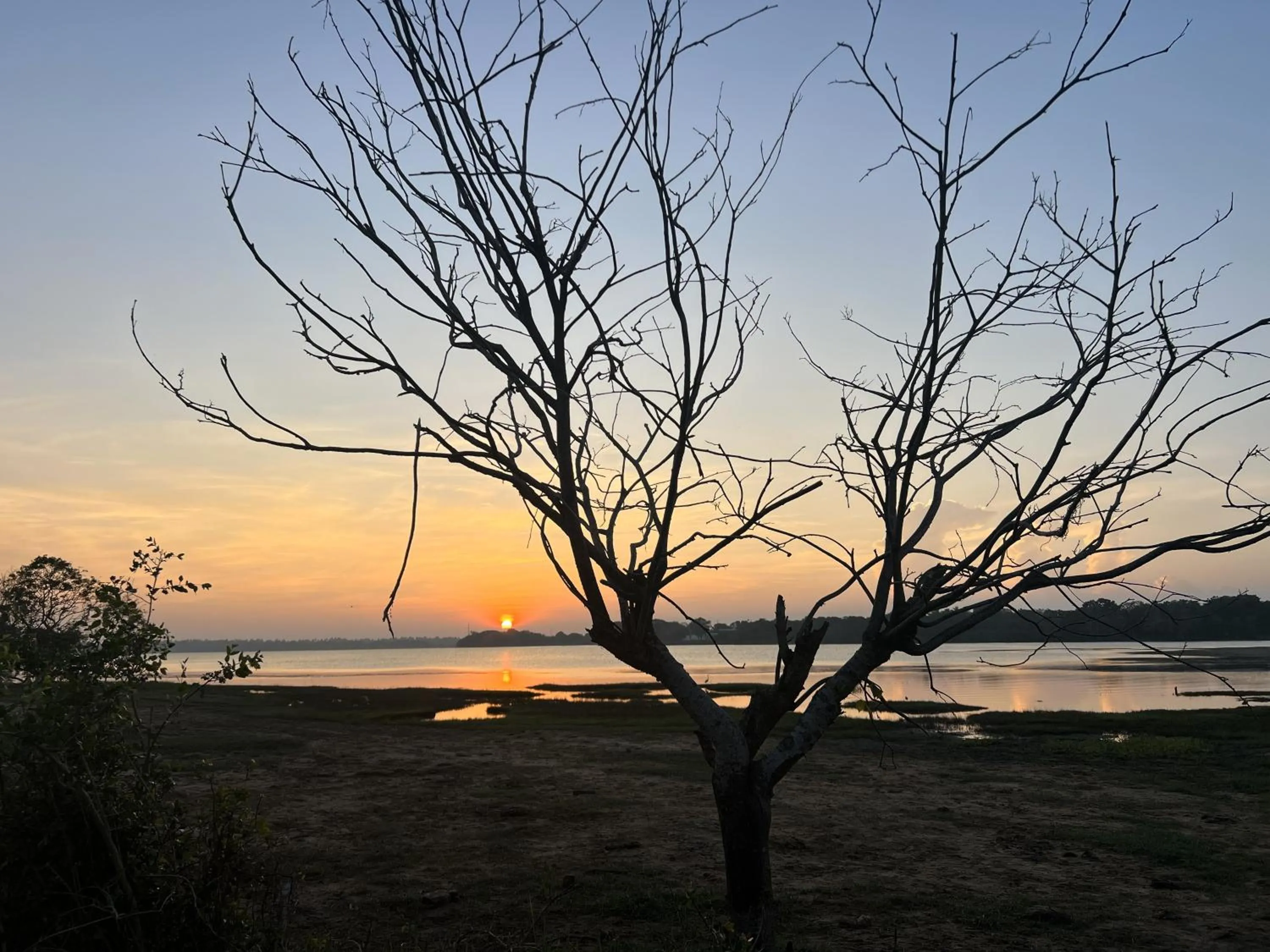 View (from property/room) in Saffron Lake Yala