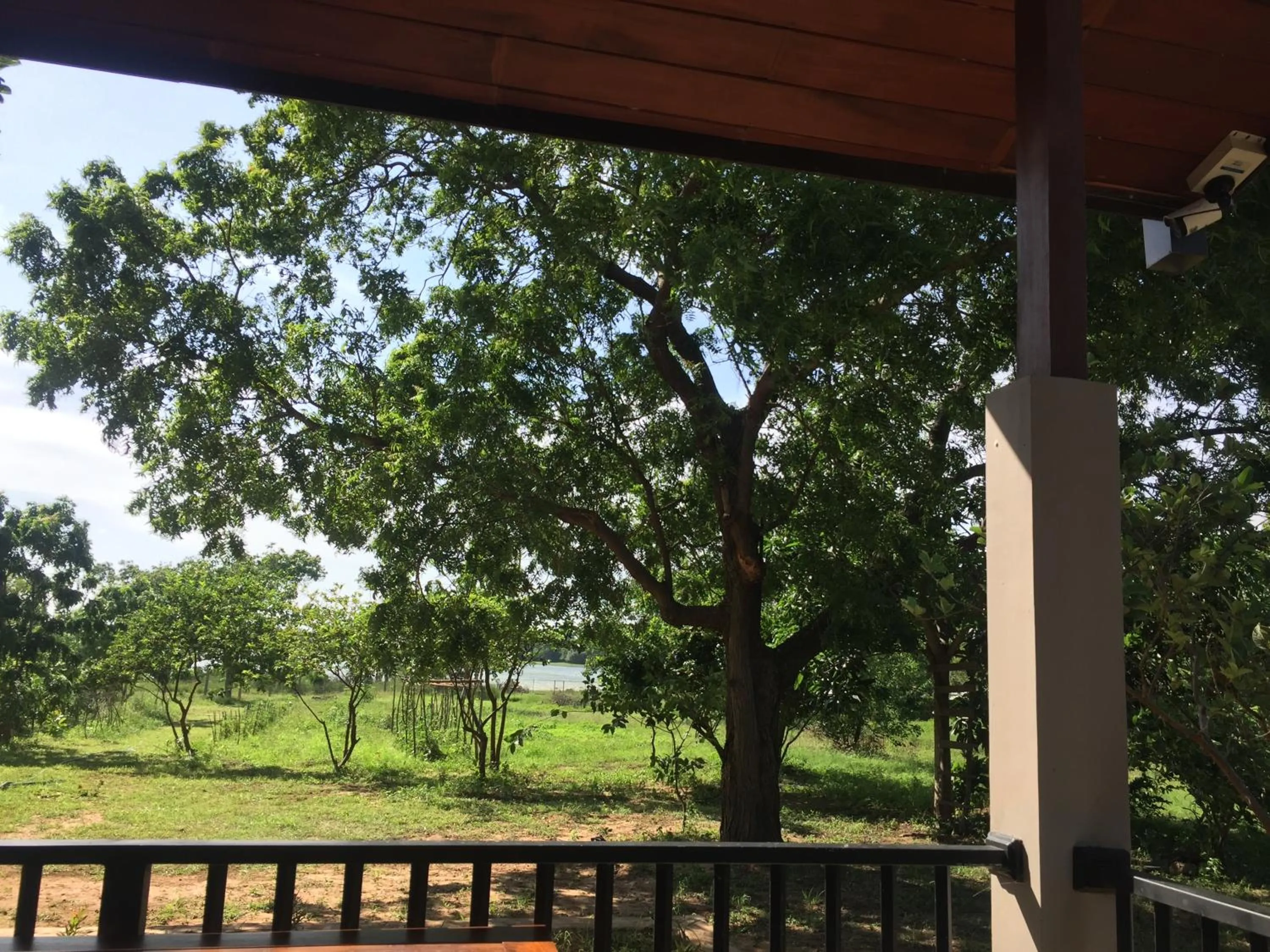 Quiet street view in Saffron Lake Yala