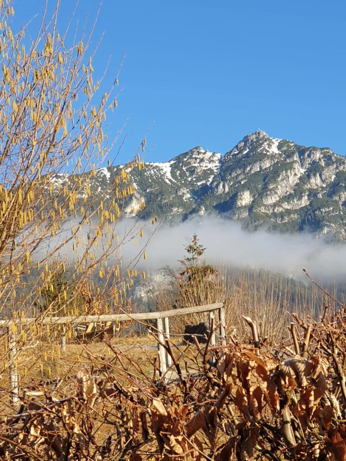 Natural landscape in Gungl Stubn