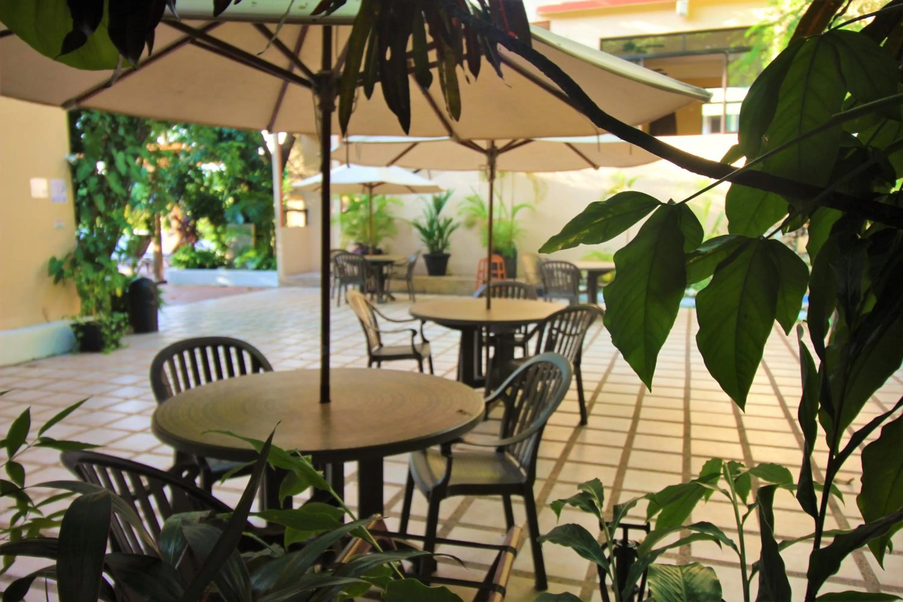 Balcony/Terrace in Hotel Maya Tulipanes Palenque