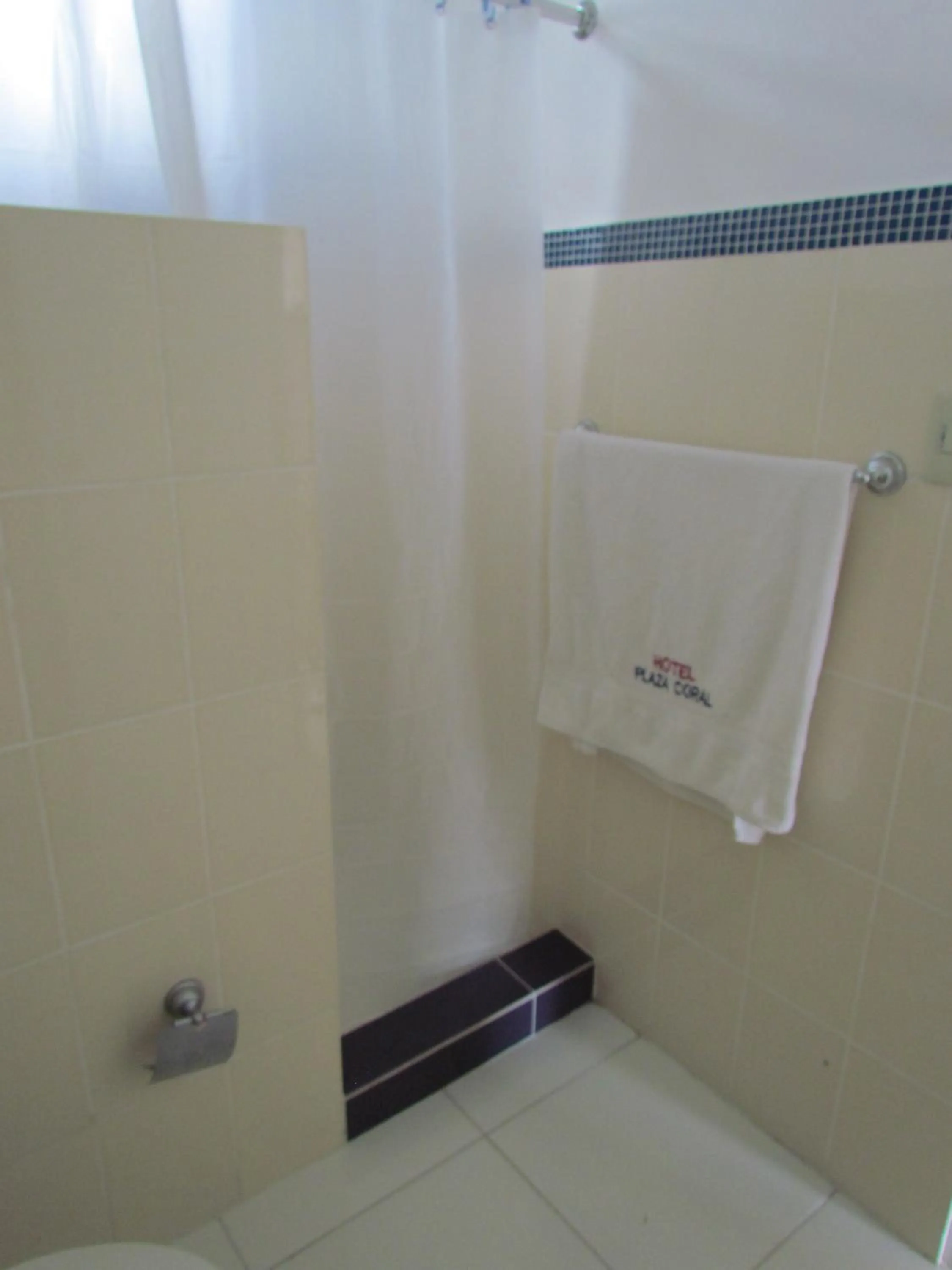 Bathroom in Plaza Coral Hotel