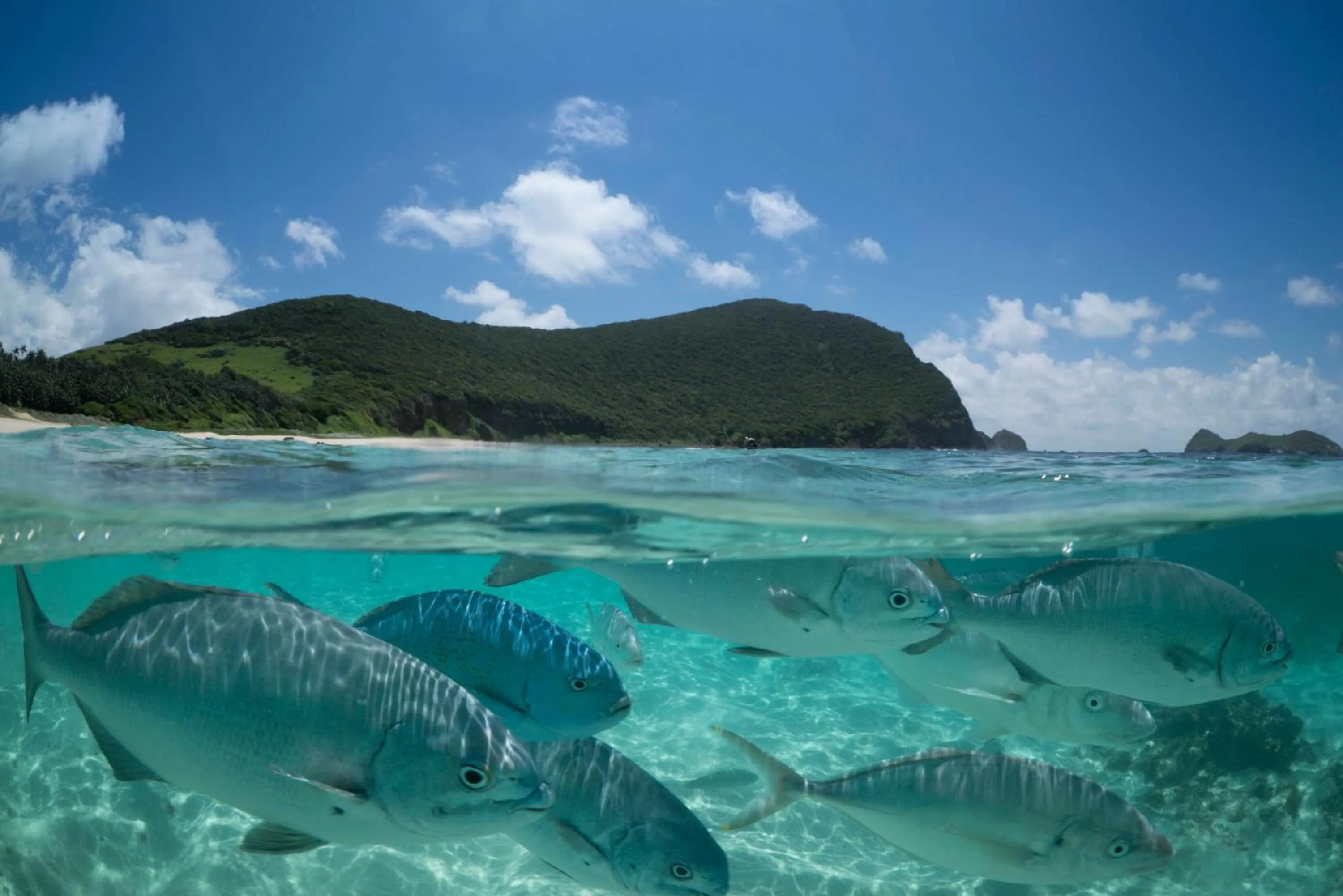 Snorkeling in Arajilla Retreat
