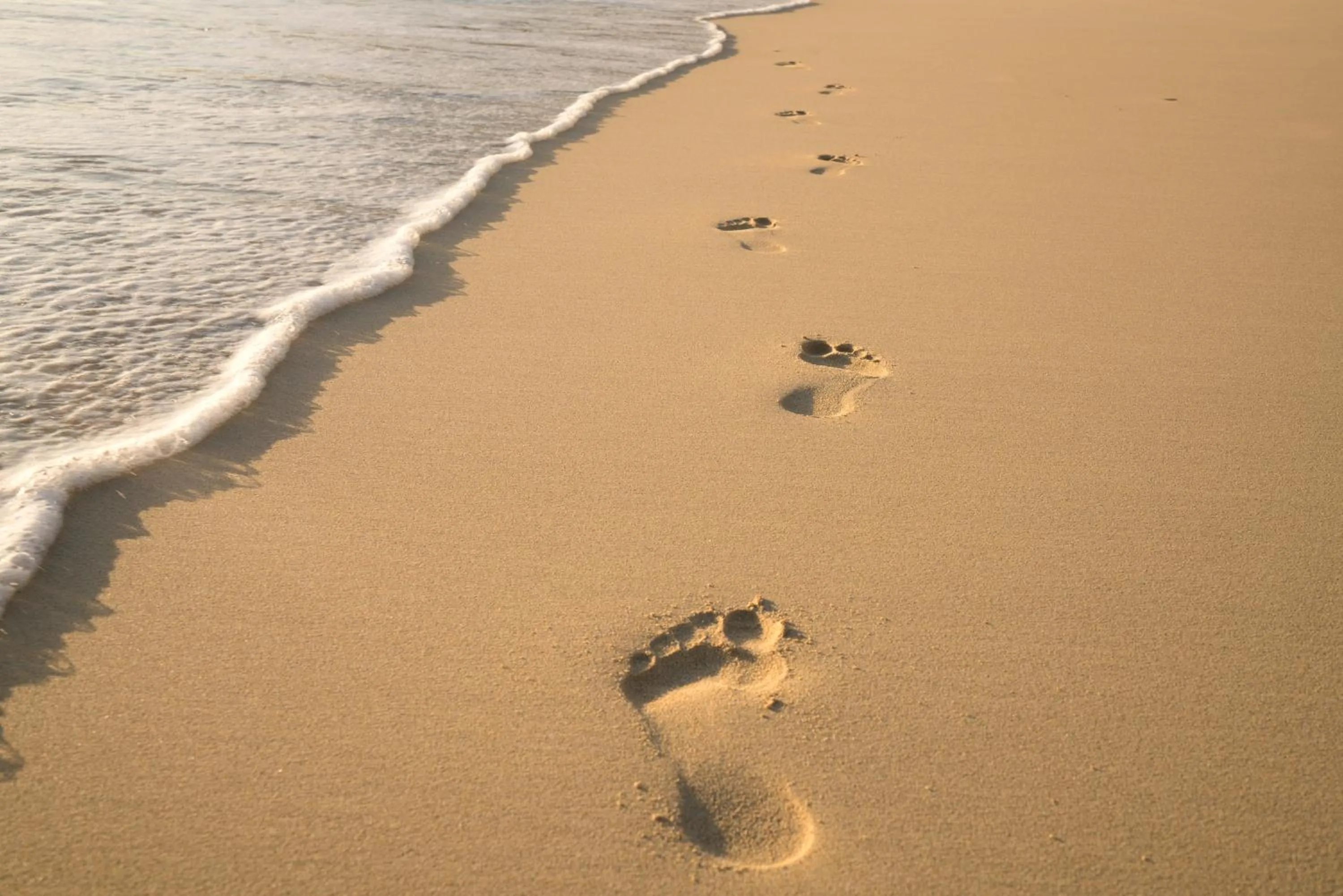 Beach in Arajilla Retreat