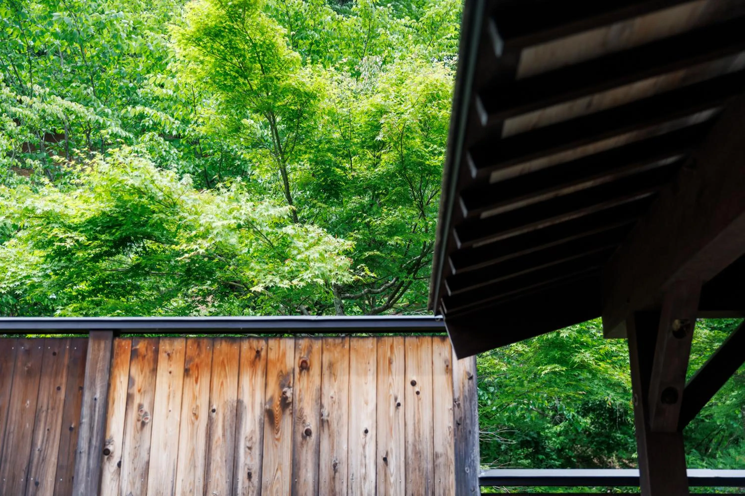 Hot Spring Bath in Hotel Kikori