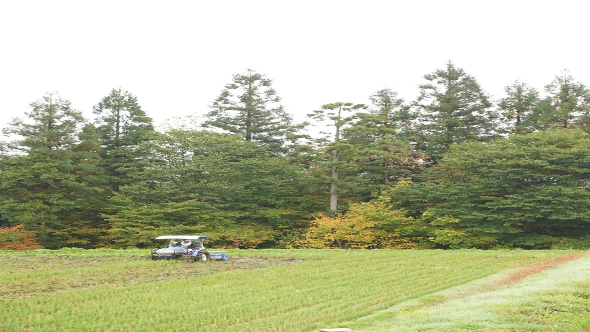 Off site in Hotel Kikori