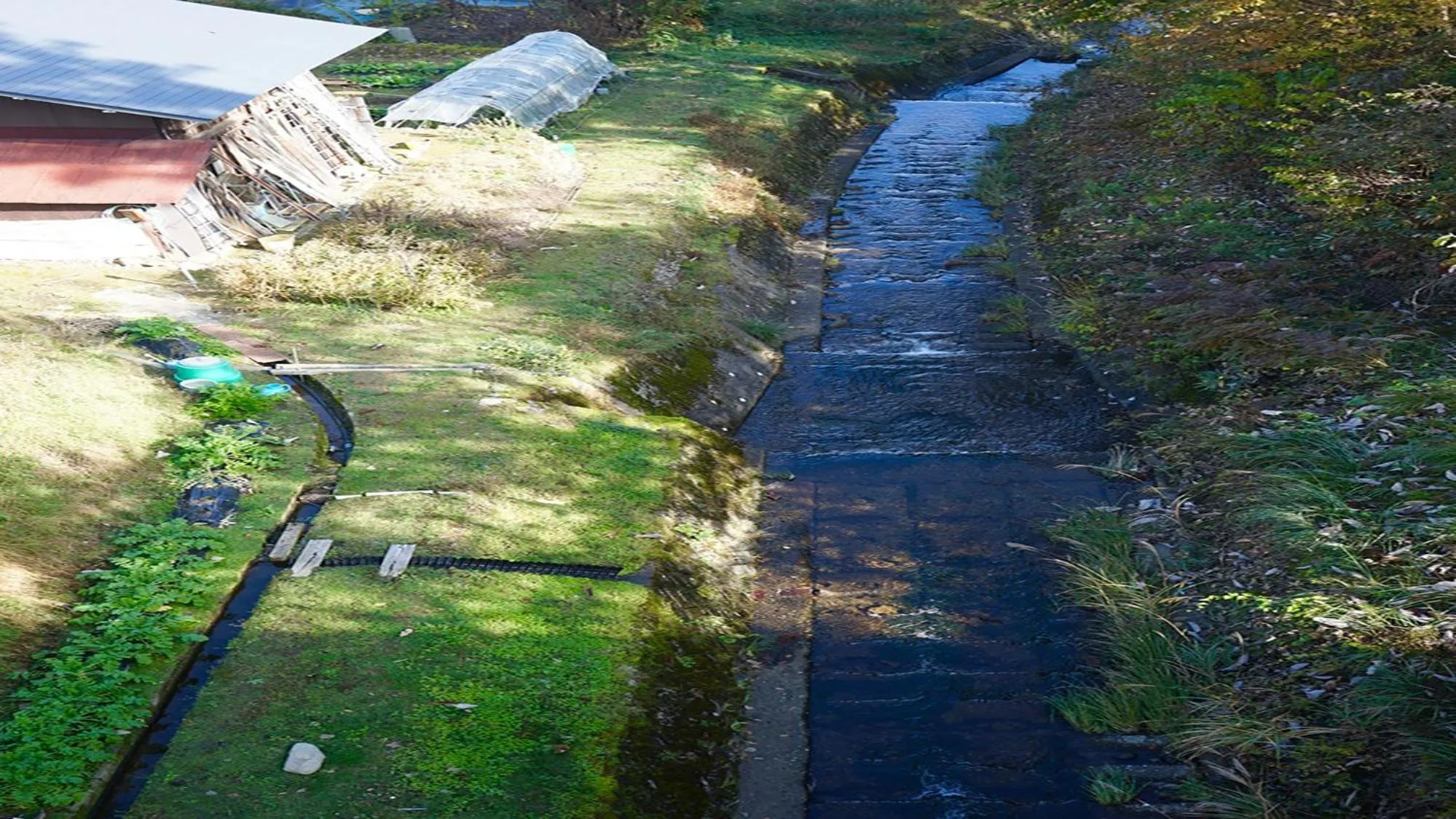 Off site in Hotel Kikori