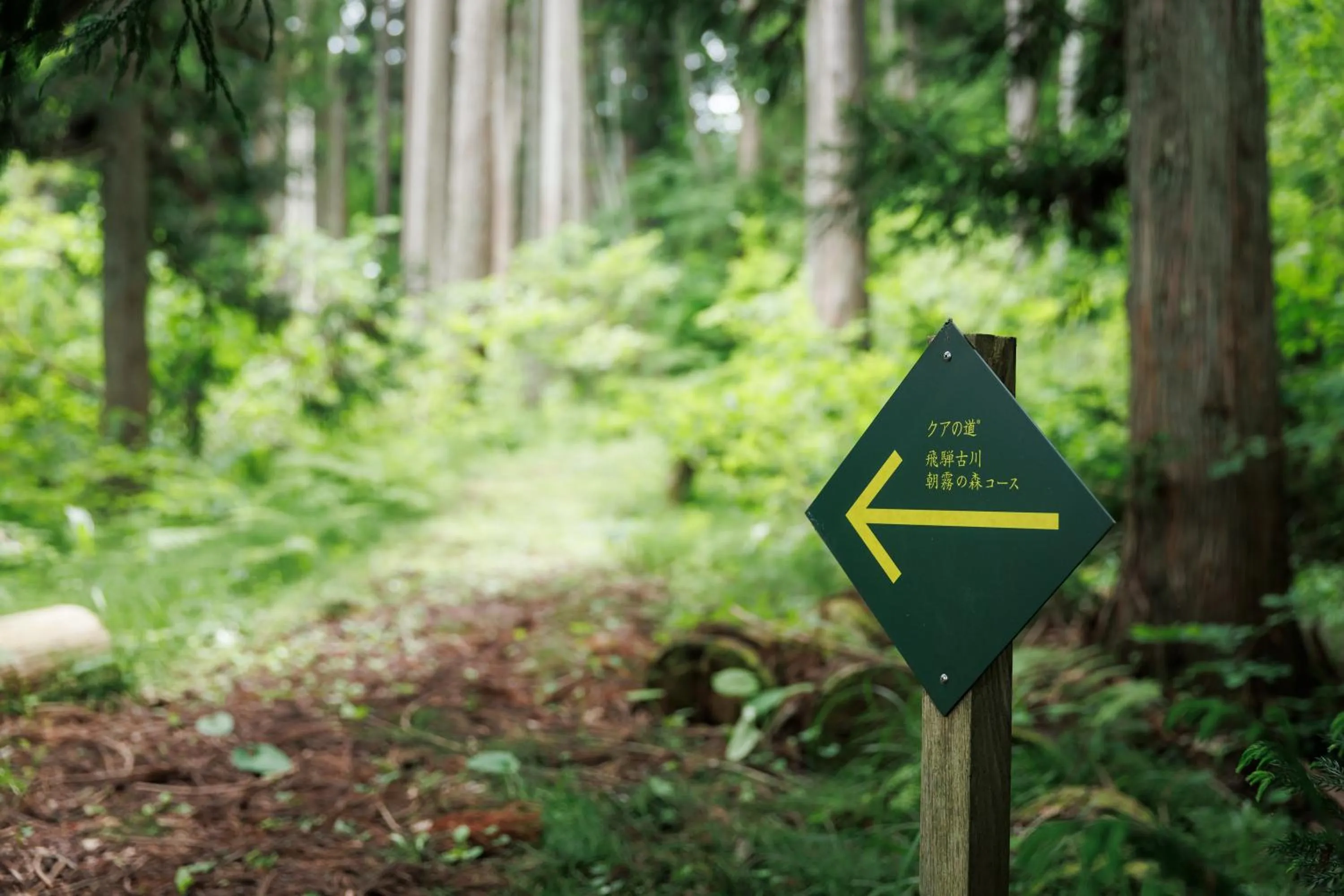 Area and facilities in Hotel Kikori