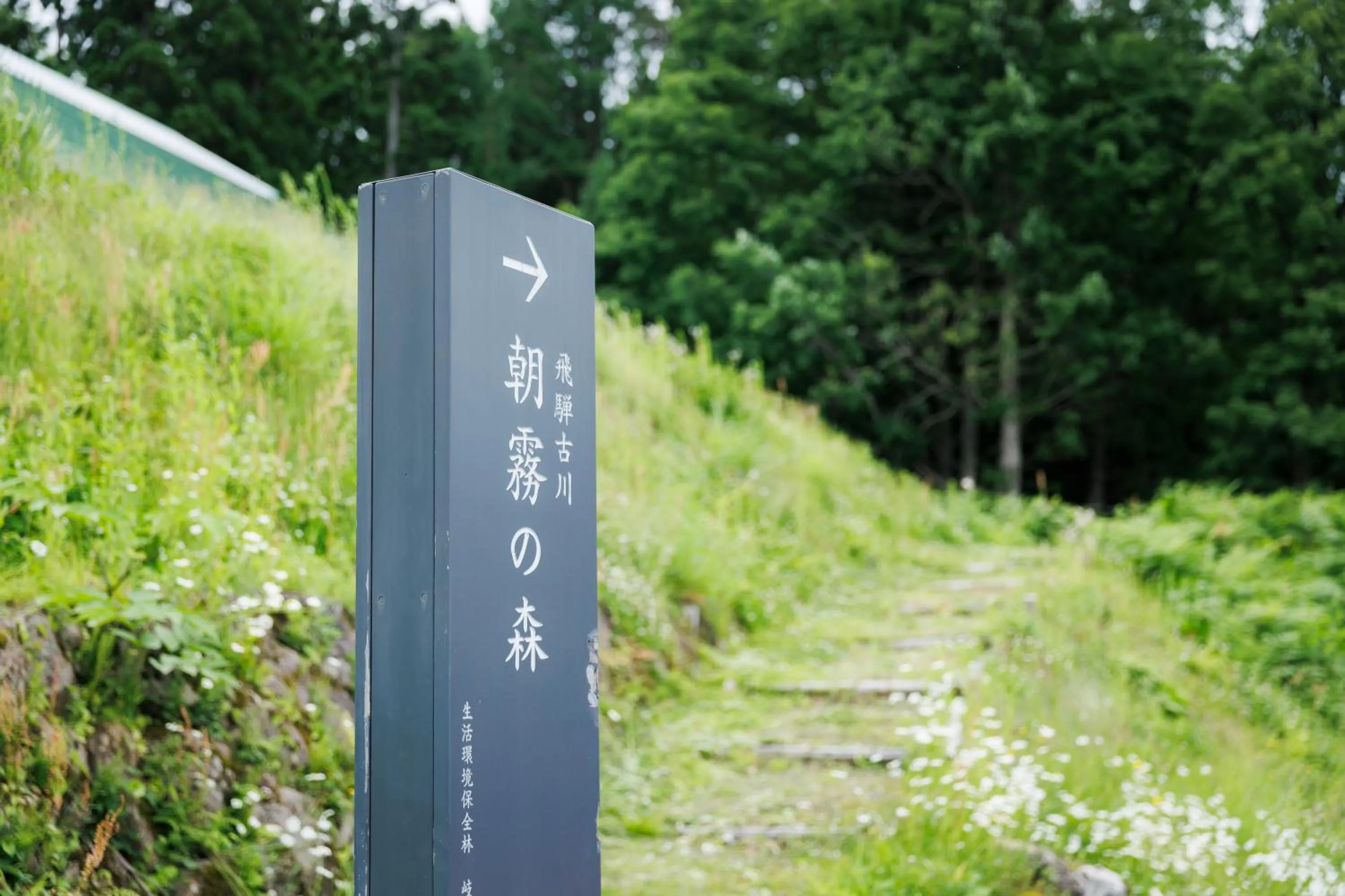 Area and facilities in Hotel Kikori