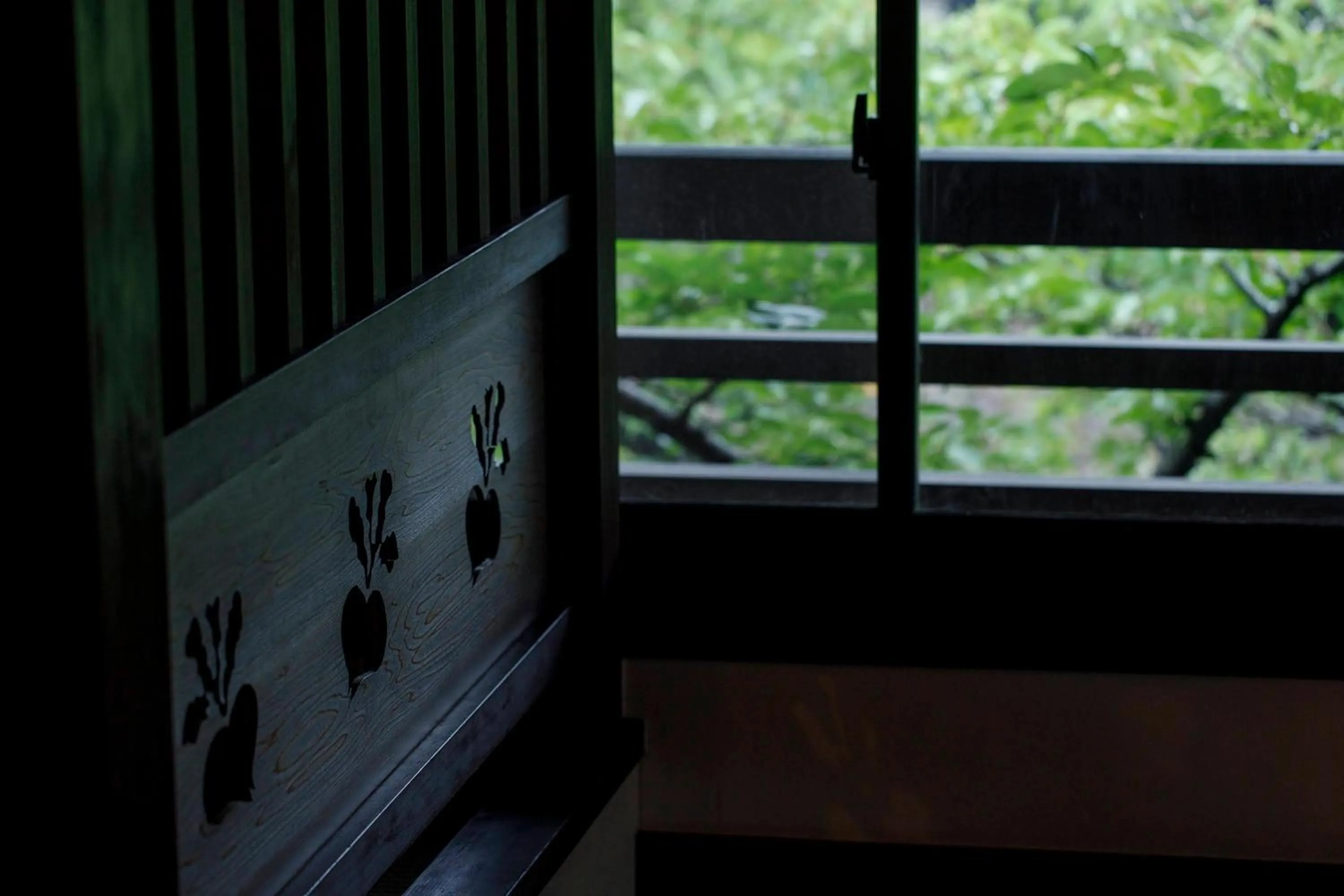 Area and facilities in Busuitei