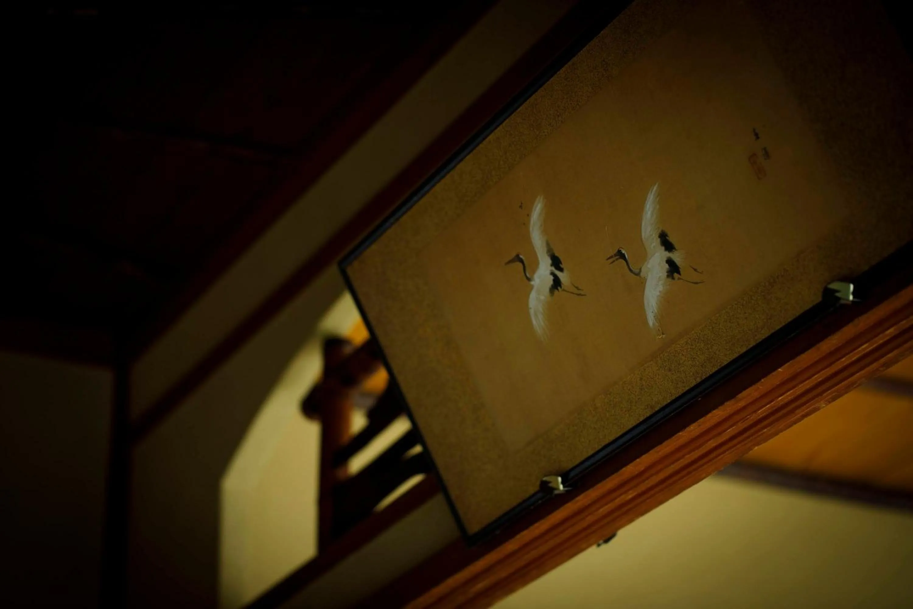 Photo of the whole room in Busuitei