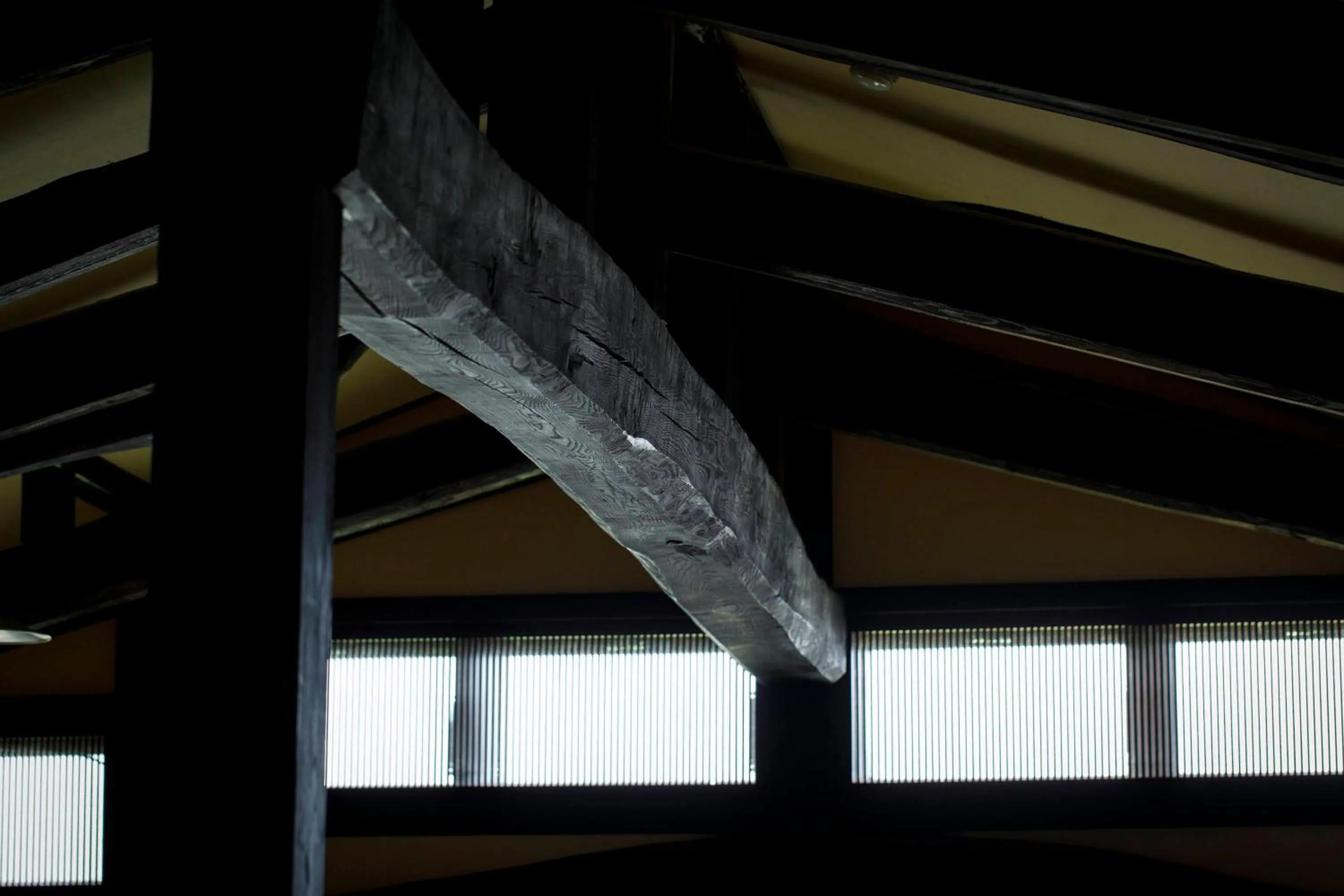 Area and facilities in Busuitei