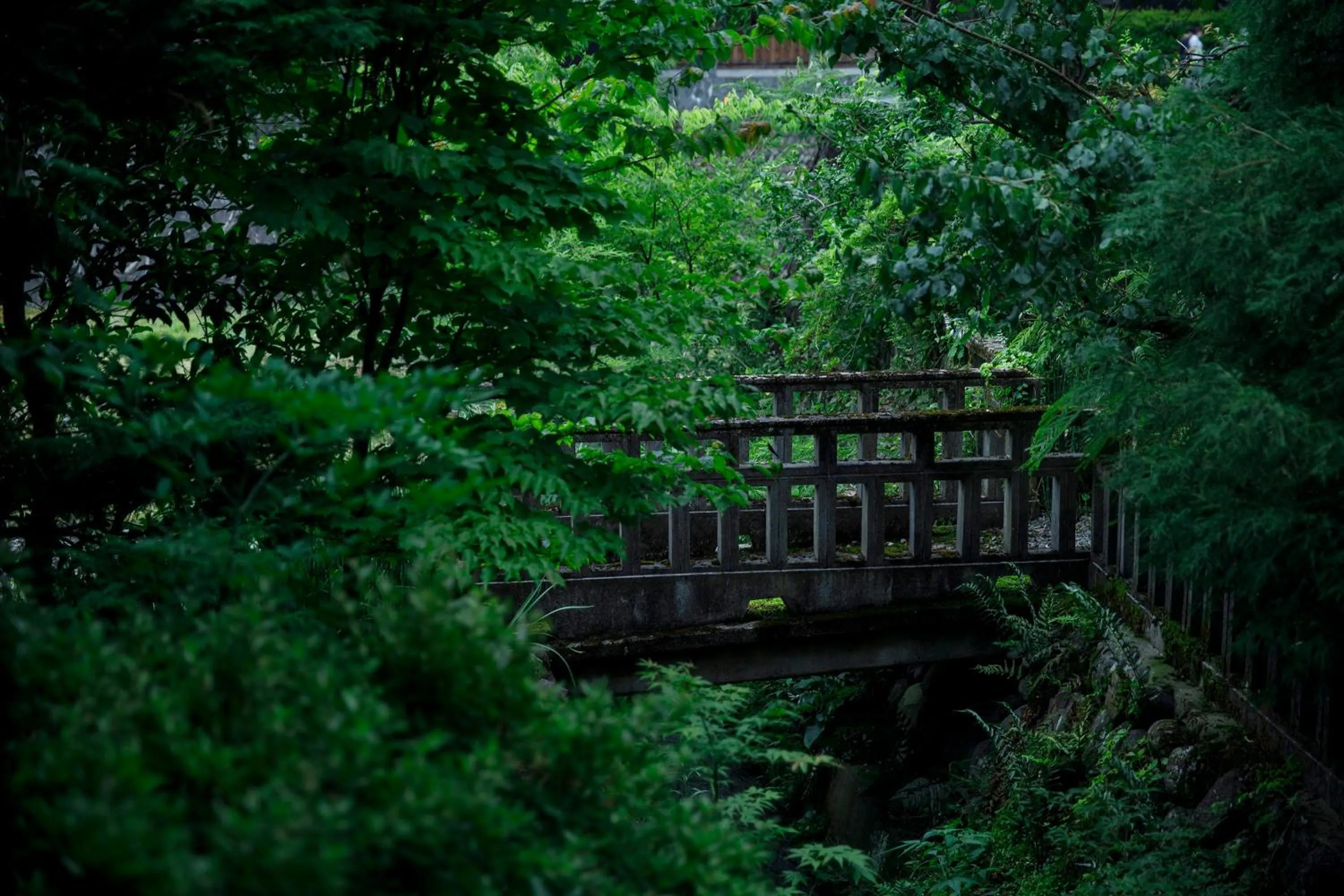 Natural landscape in Busuitei