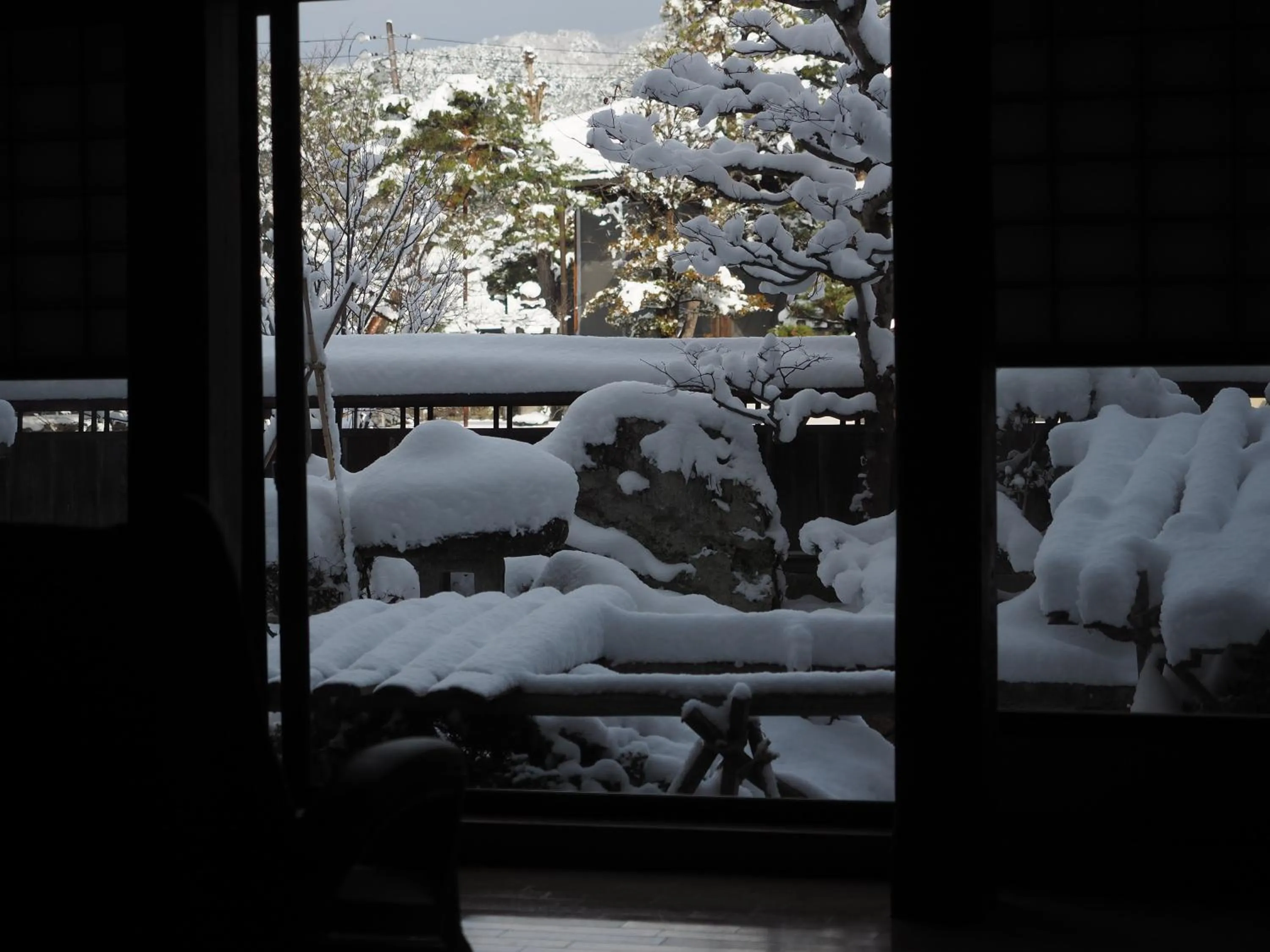 Garden in Yatsusankan Over 6 years old