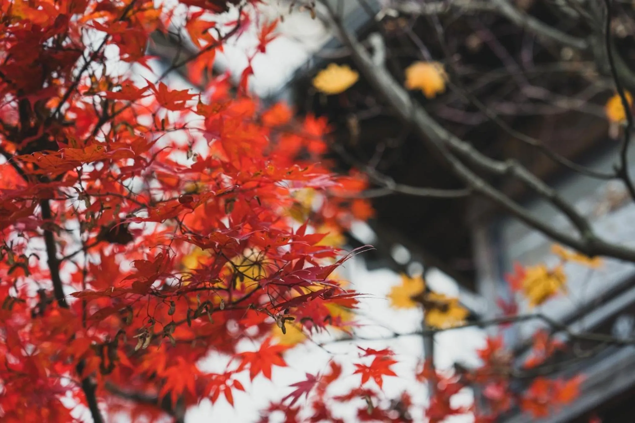 Property building in Yatsusankan Over 6 years old
