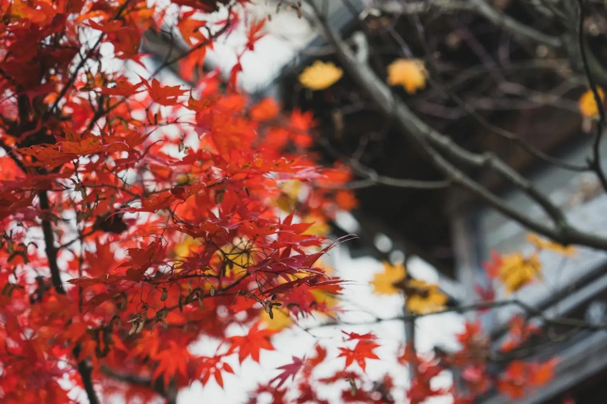 Property building in Yatsusankan Over 6 years old Property building in Yatsusankan Over 6 years old