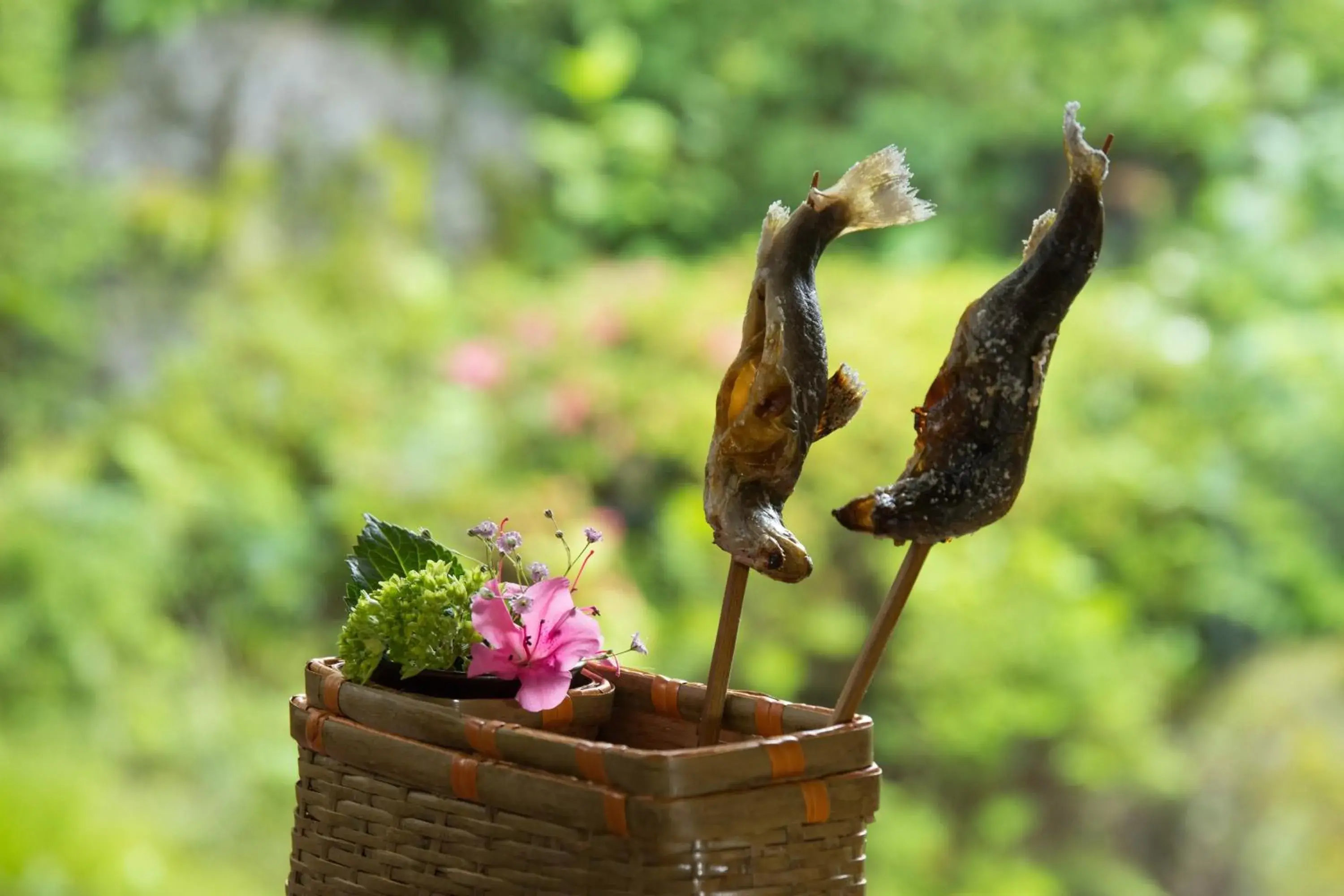 Restaurant/places to eat in Yatsusankan Over 6 years old Restaurant/places to eat in Yatsusankan Over 6 years old