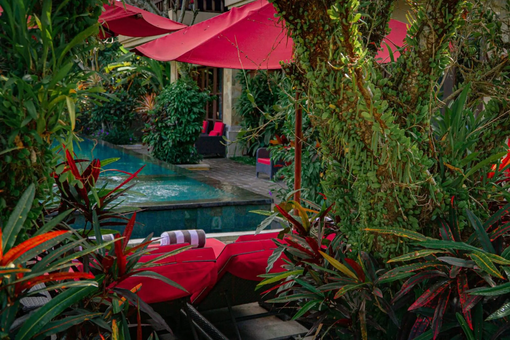 Swimming pool in Uma Stana Villa