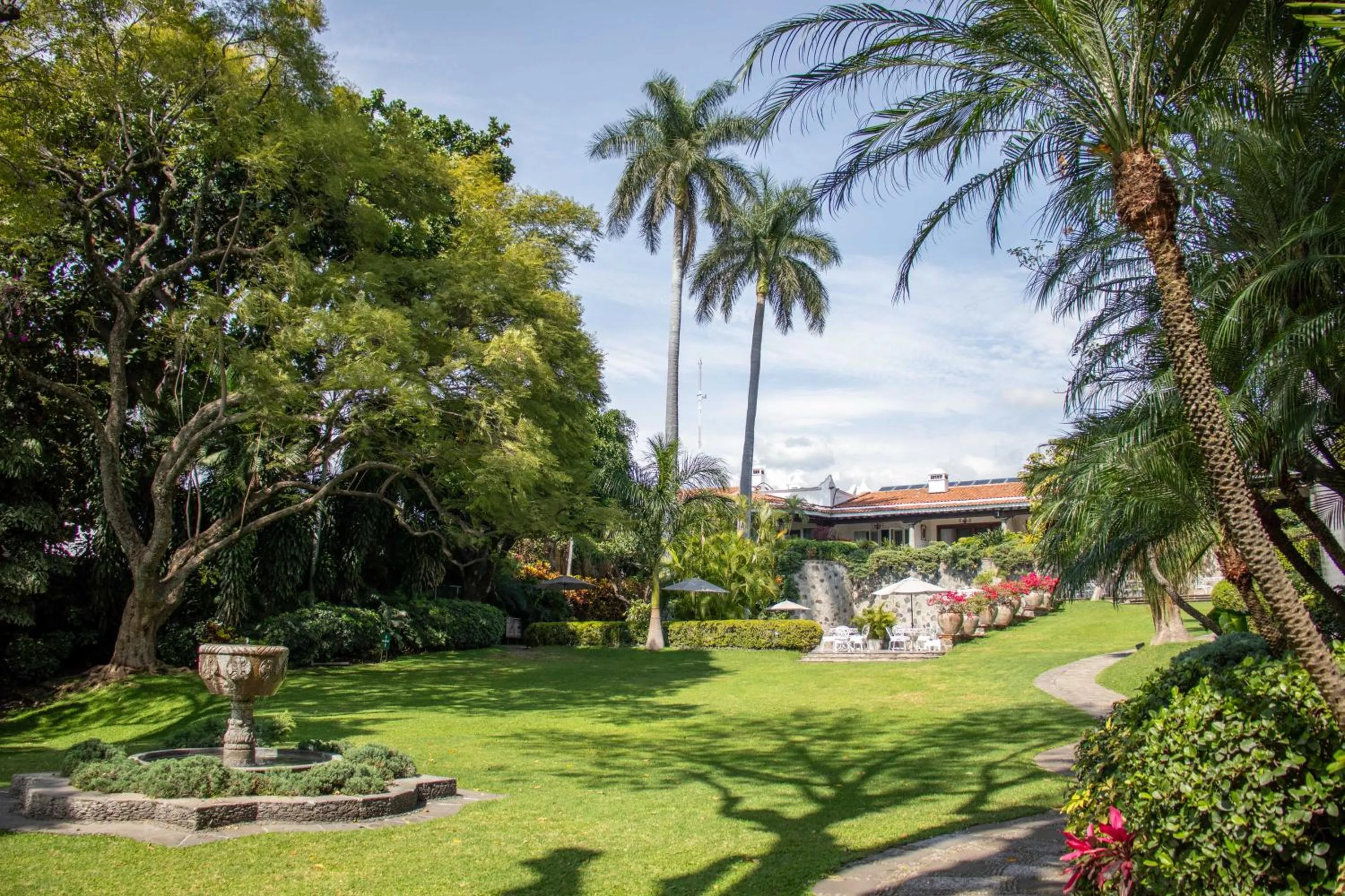 Garden in Las Mañanitas