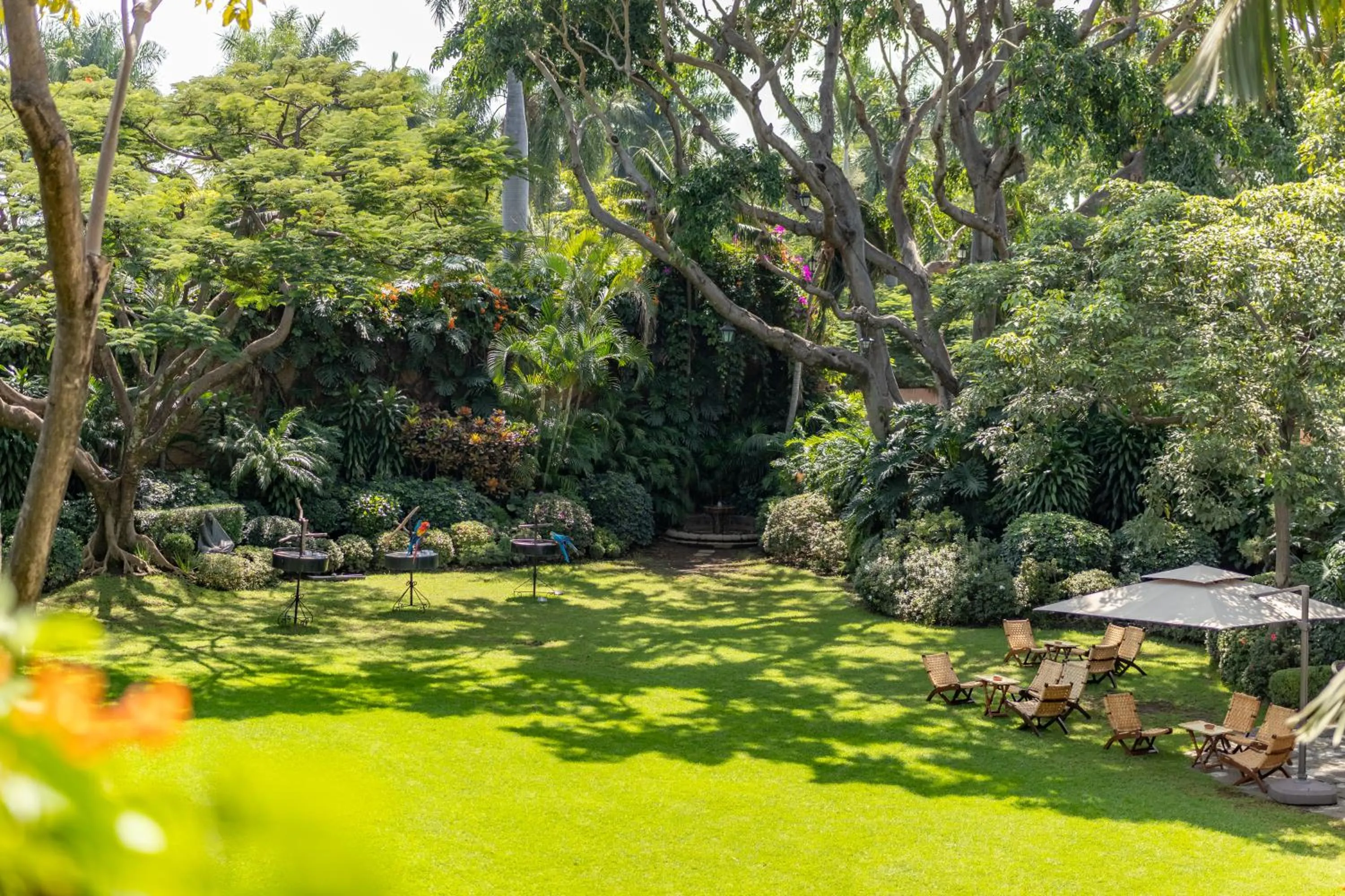Garden in Las Mañanitas