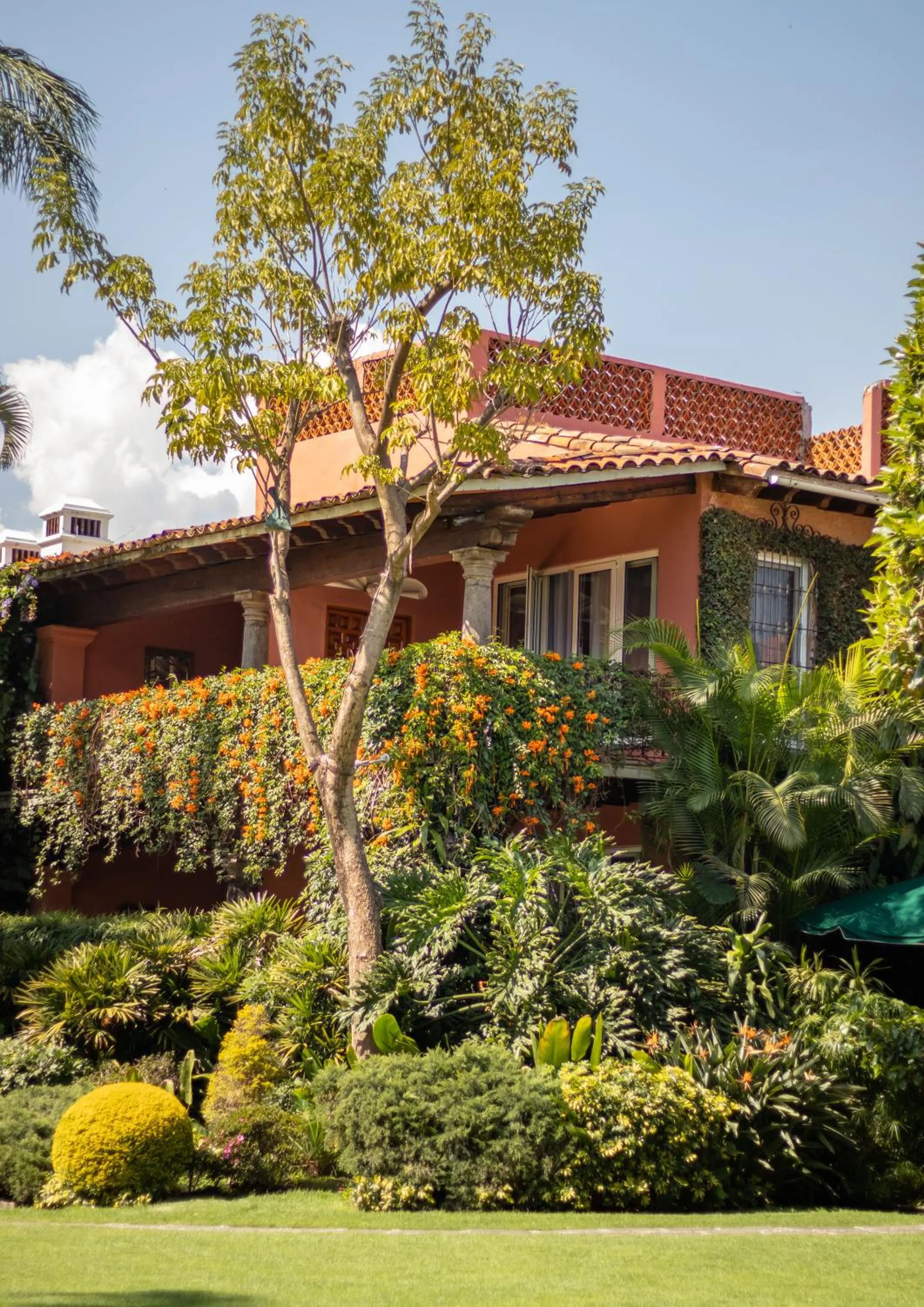 Property building in Las Mañanitas