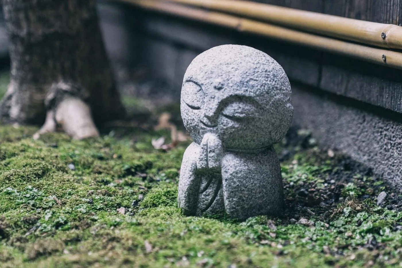 Garden in Guest House Hitsujian