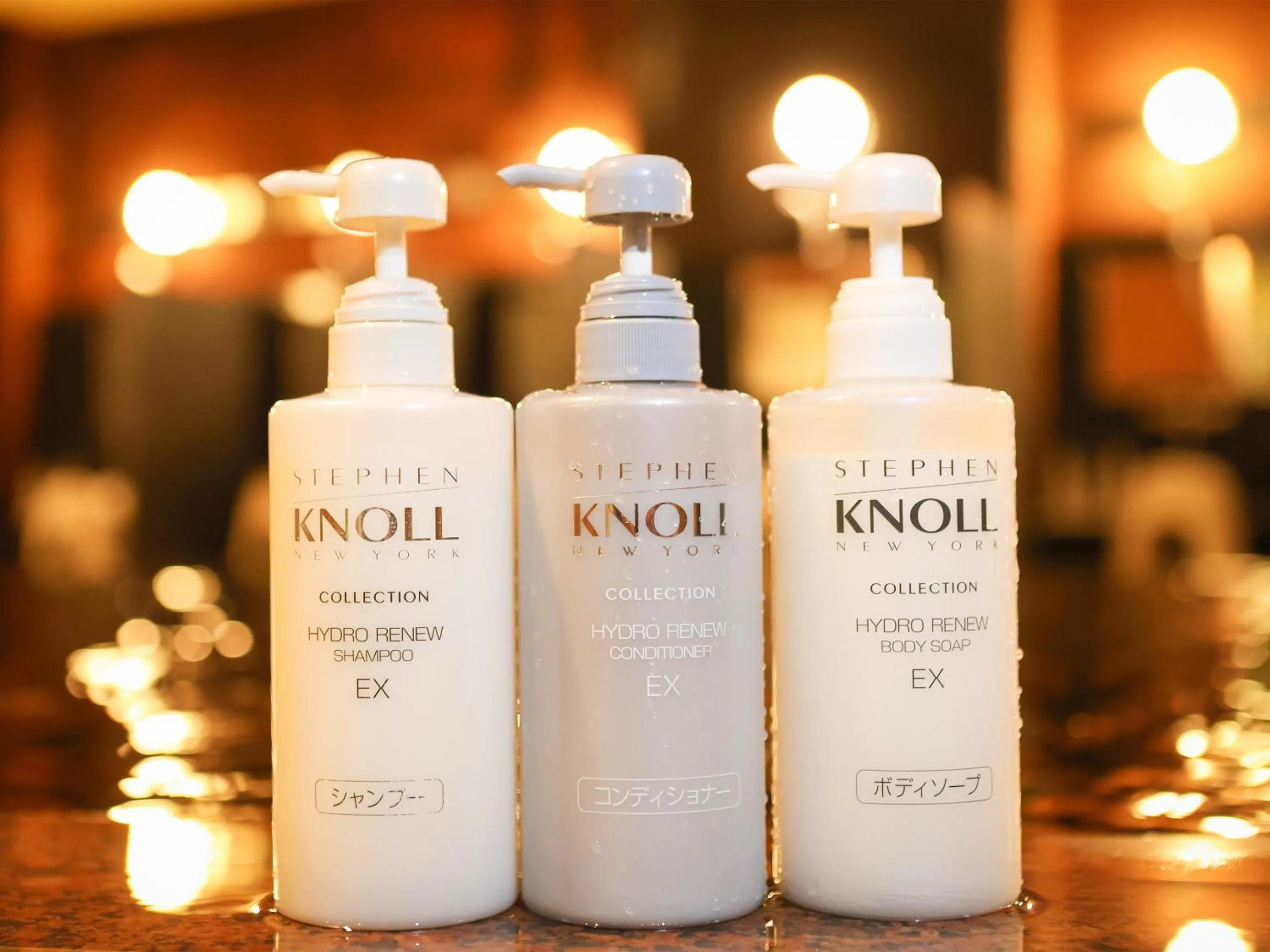 Hot Spring Bath in Fukui Hotel