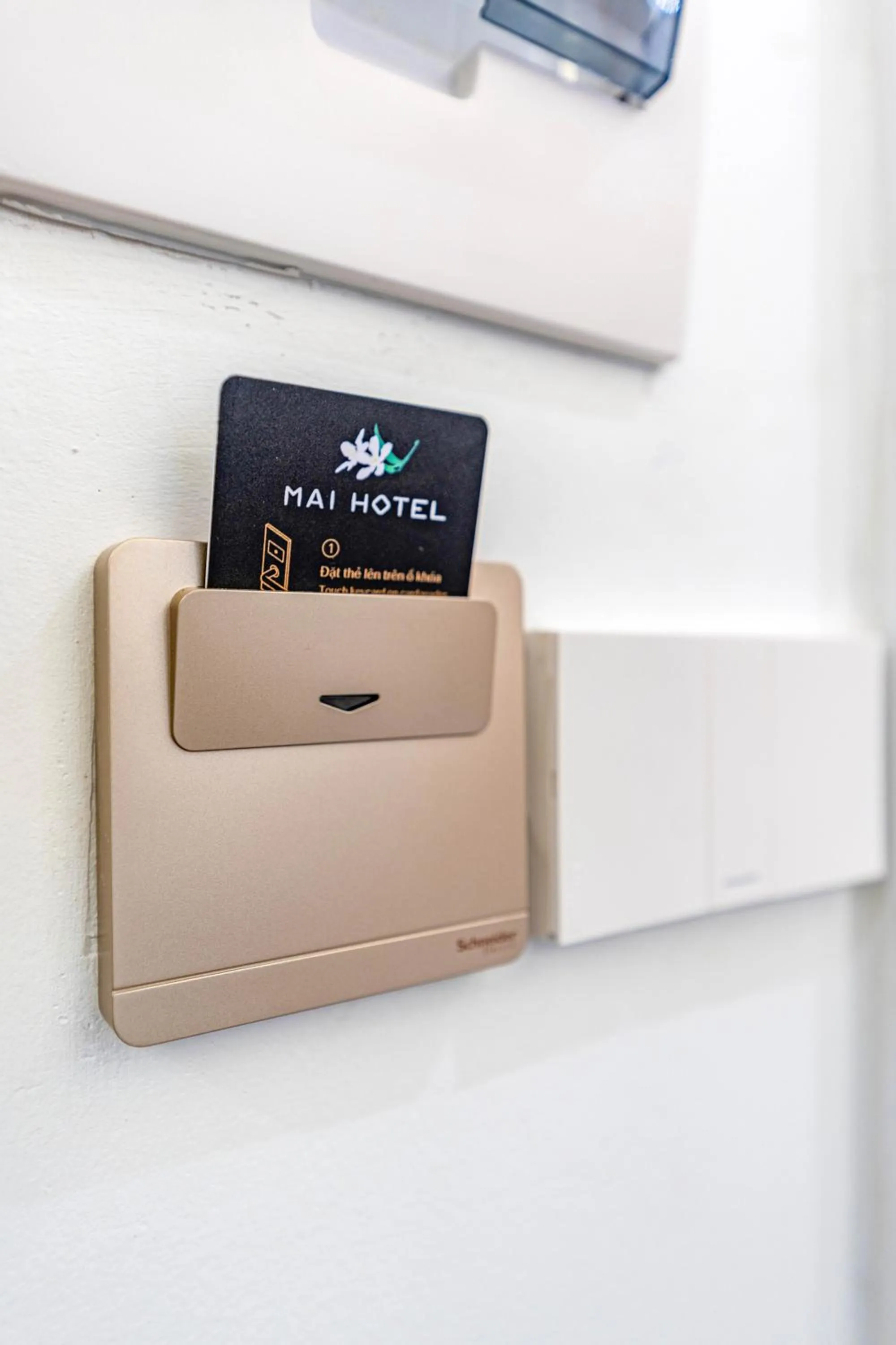 TV and multimedia in Mai Hotel