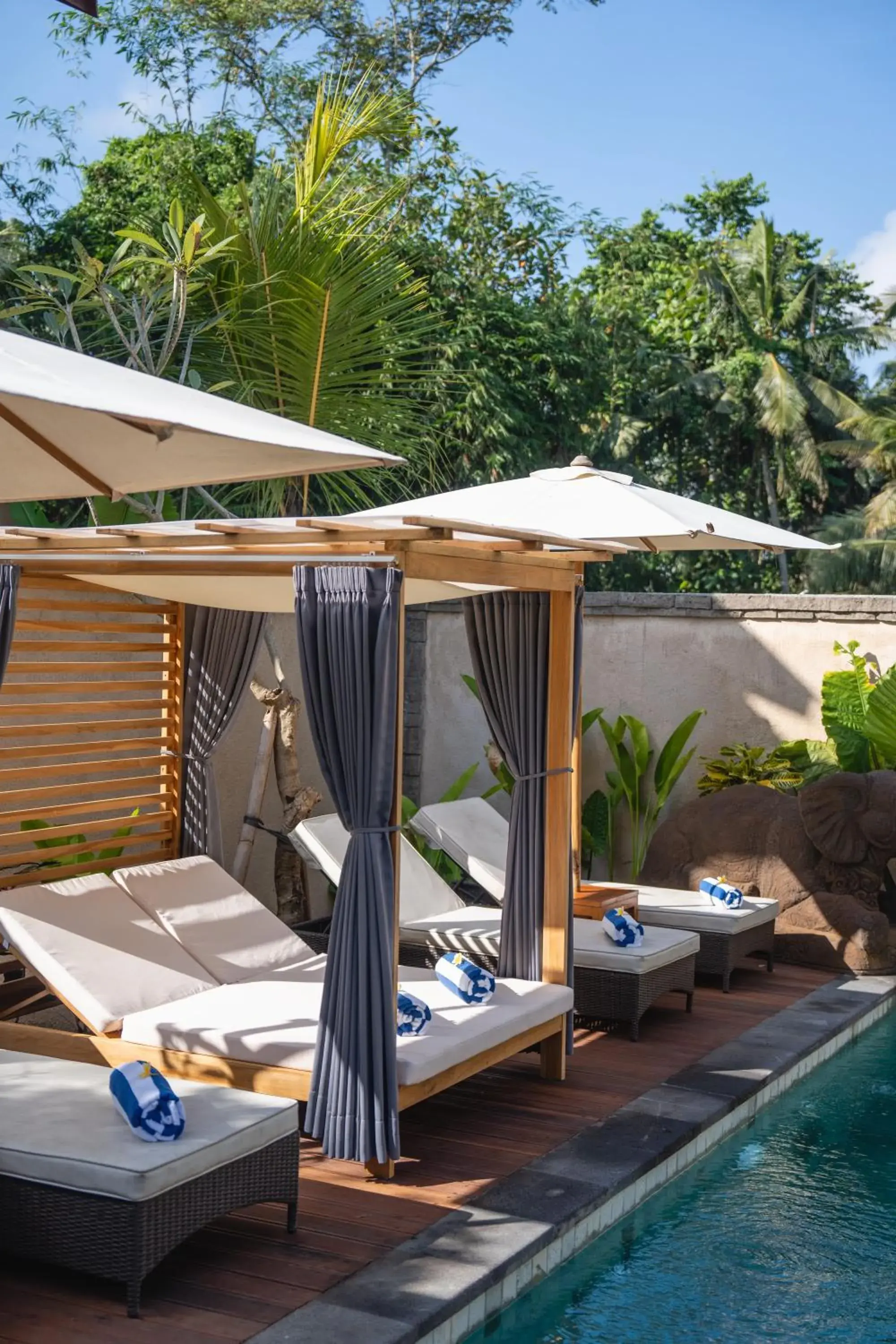 Swimming pool in The Compass Rose Ubud Swimming pool in The Compass Rose Ubud