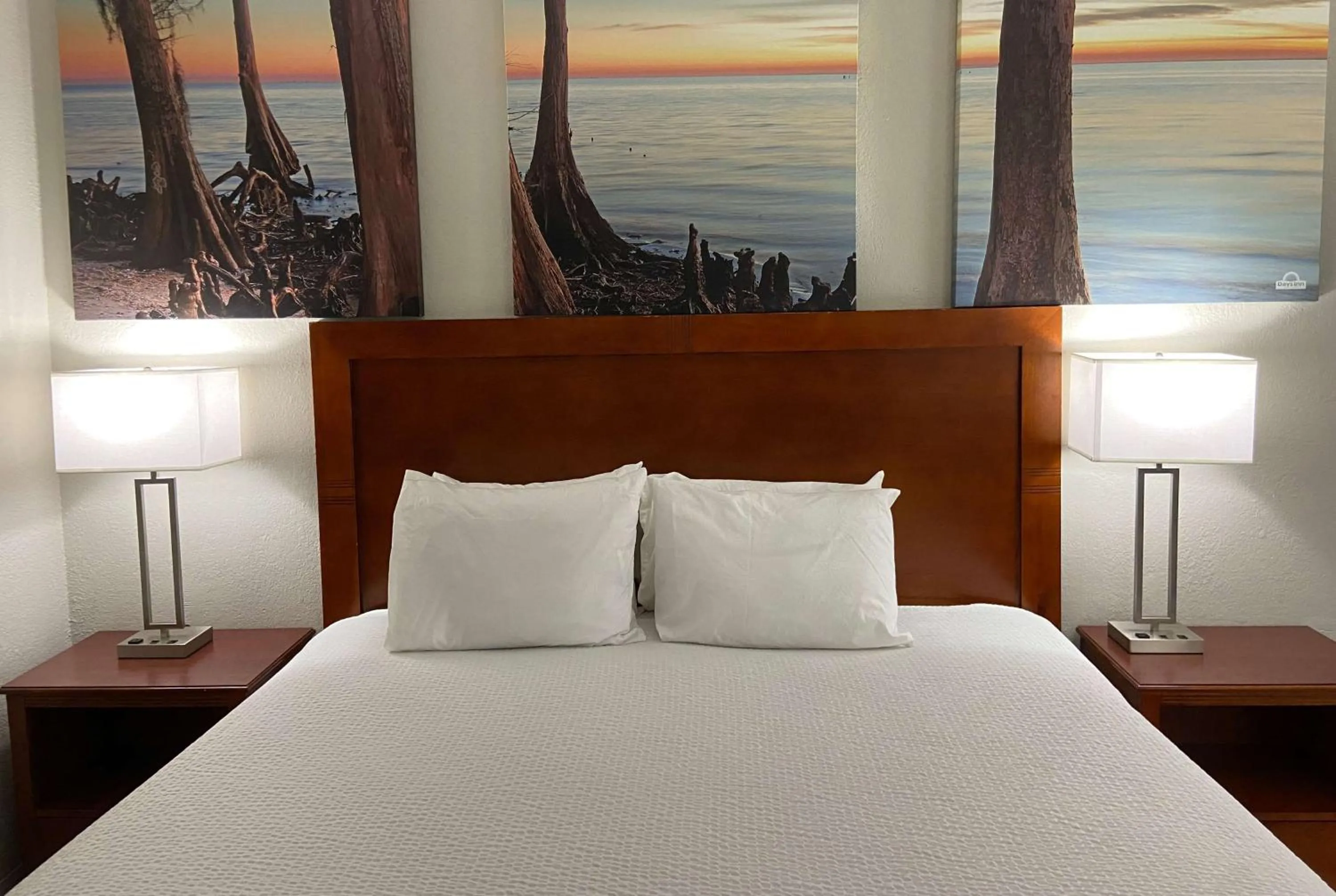 Photo of the whole room in Days Inn by Wyndham Ozark