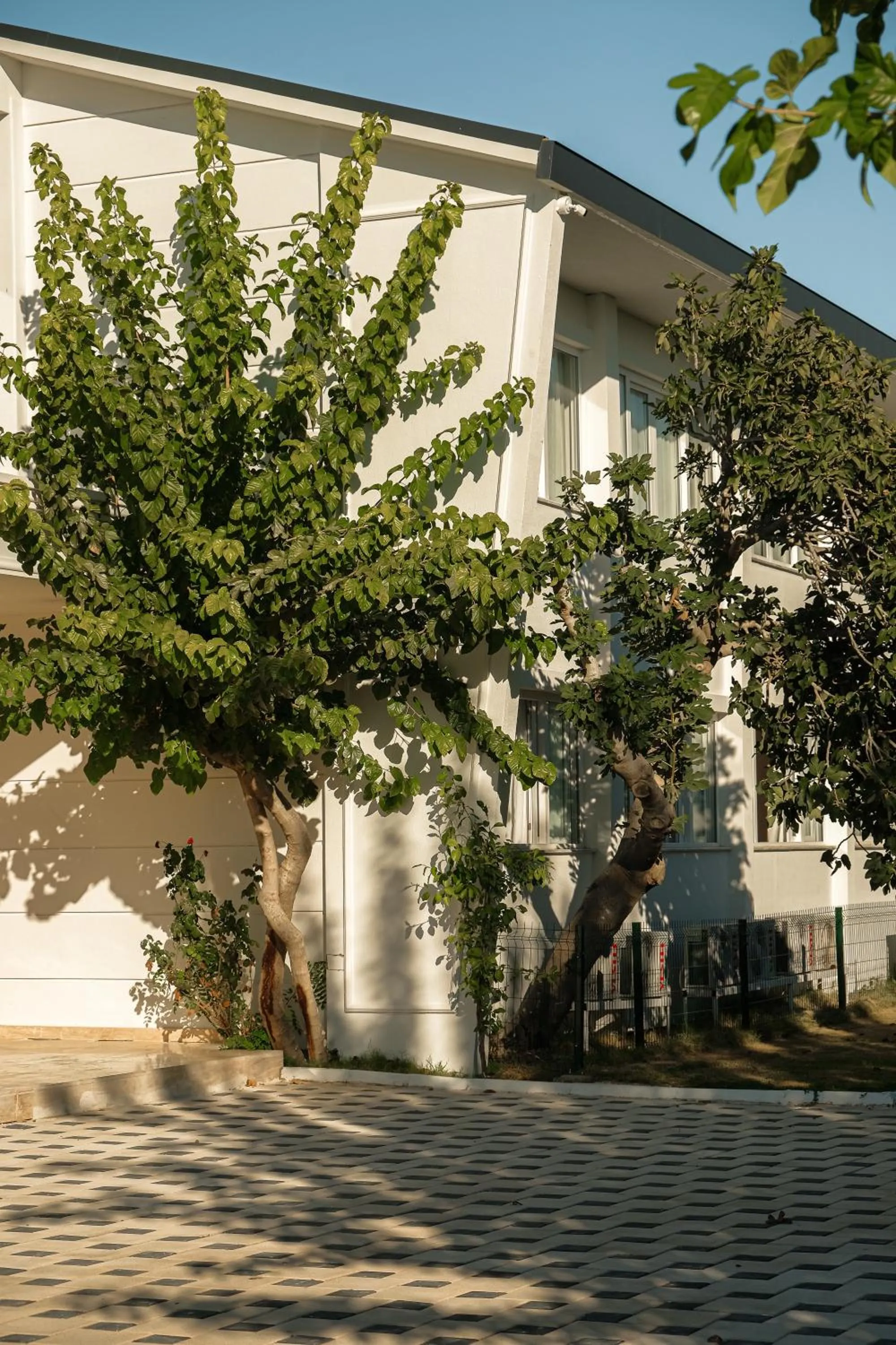 Property building in RAW BEACH HOTEL
